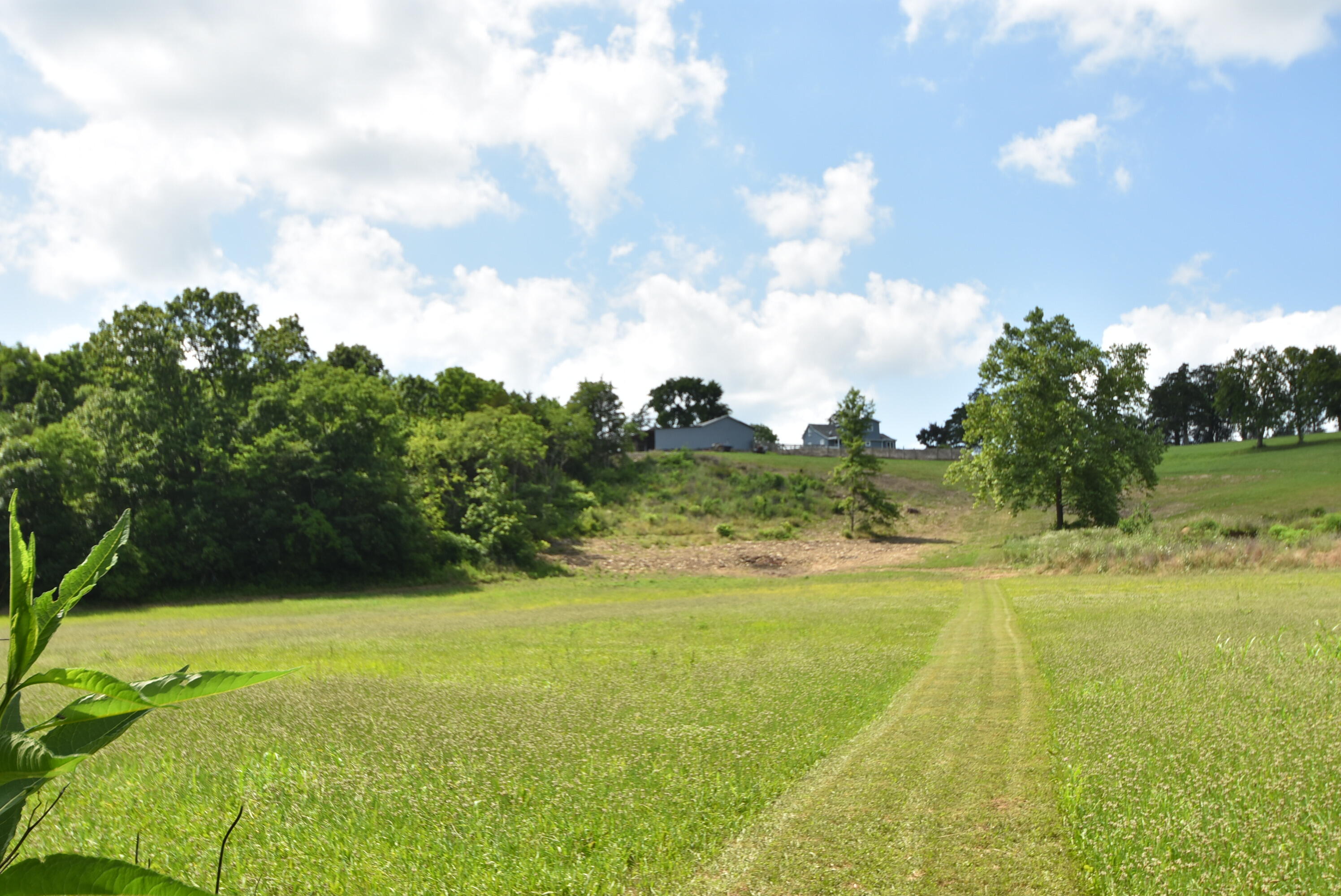 691 Fairview Road Salvisa, KY 40372 - Photo 36 of 42 DSC_0150