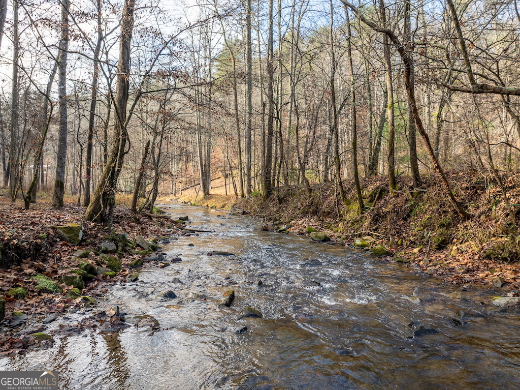 894 Hap Holt Road Ellijay, GA 30540 - Photo 1 of 1 Gallery Image 1