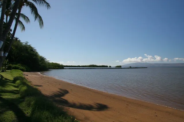 a view of an ocean beach