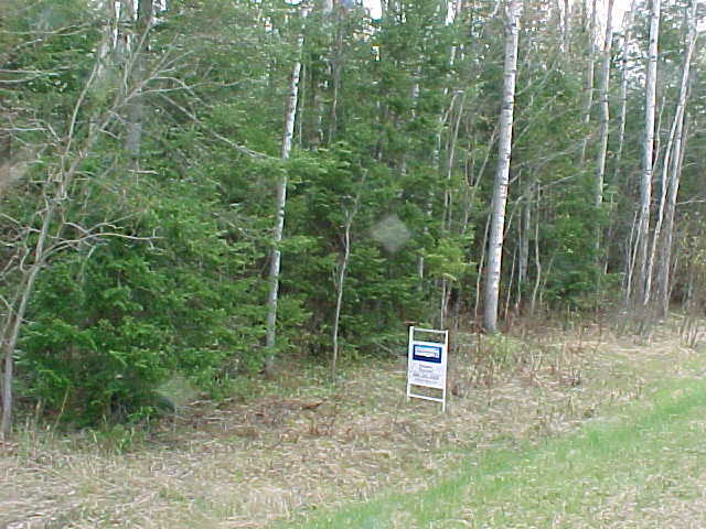 10-acres South North Hulbert Road Eckerman, MI 49728 - Photo 1 of 6 Gallery Image 1