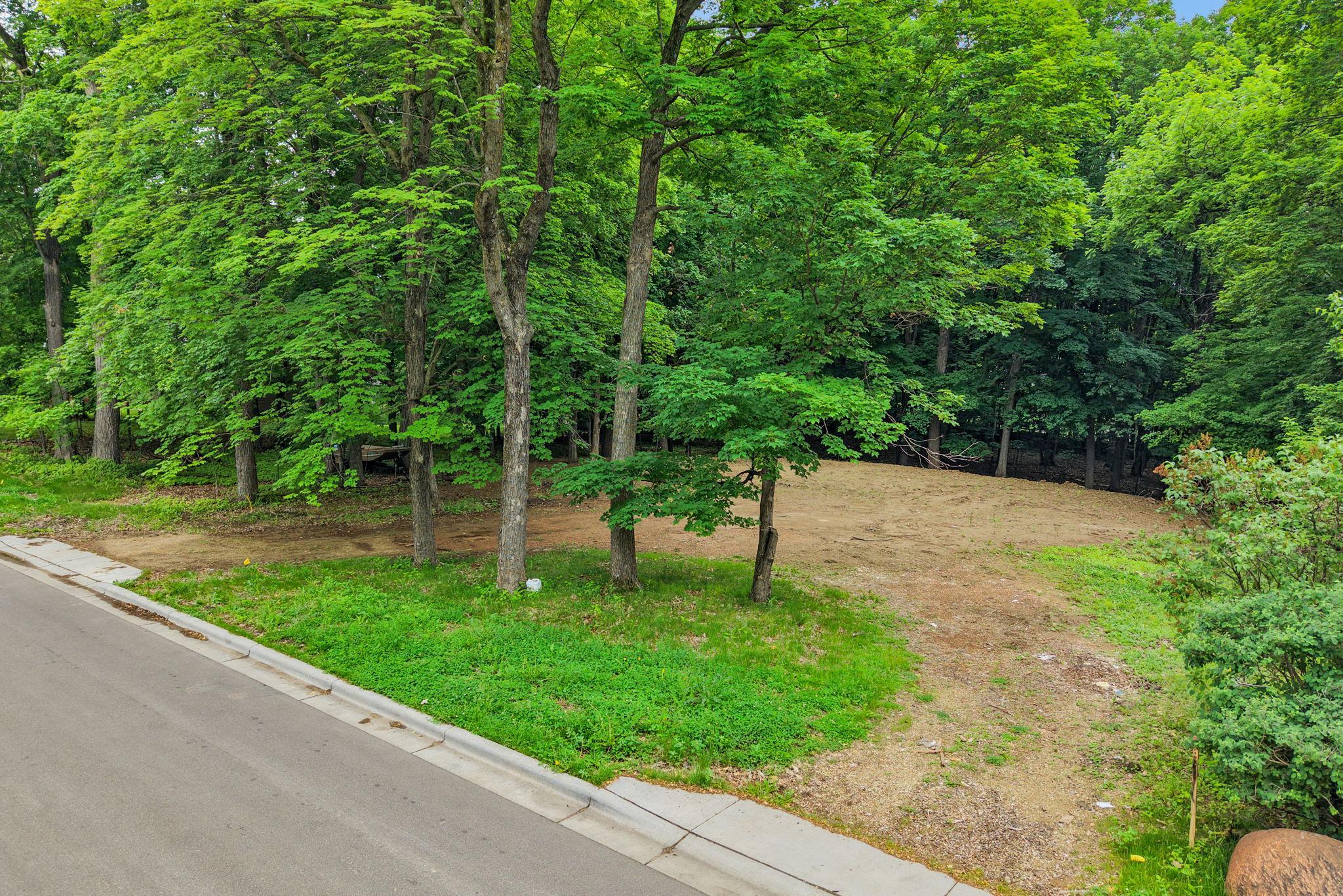 25725 Birch Bluff Road Excelsior, MN 55331 - Photo 6 of 11