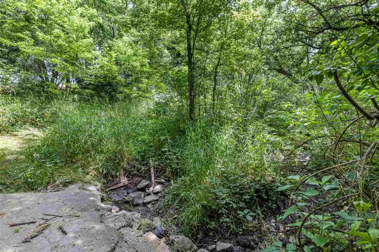 11064 Cemetery Road Capron, IL 61012 - Photo 38 of 40 a view of a forest with plants and trees