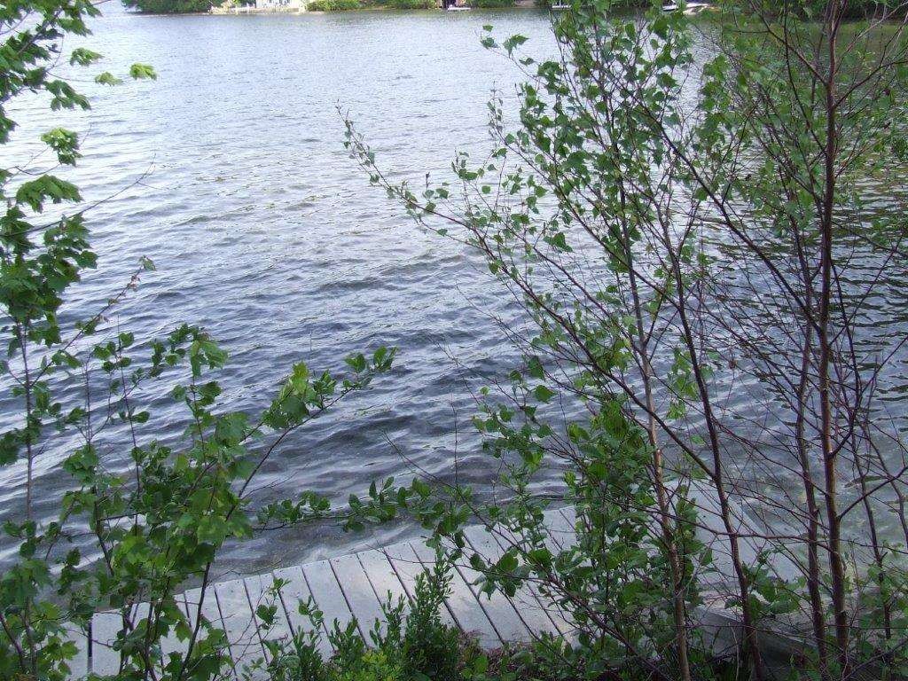 760 Plains Road Madison, NH 03875 - Photo 6 of 30