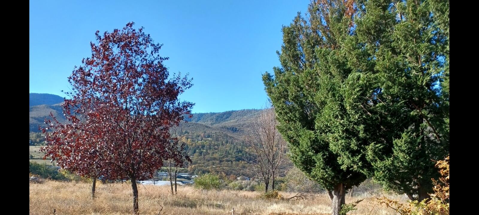 552 Eagle Mill Road Ashland, OR 97520 - Photo 12 of 16 Pic 6__Nov 2023