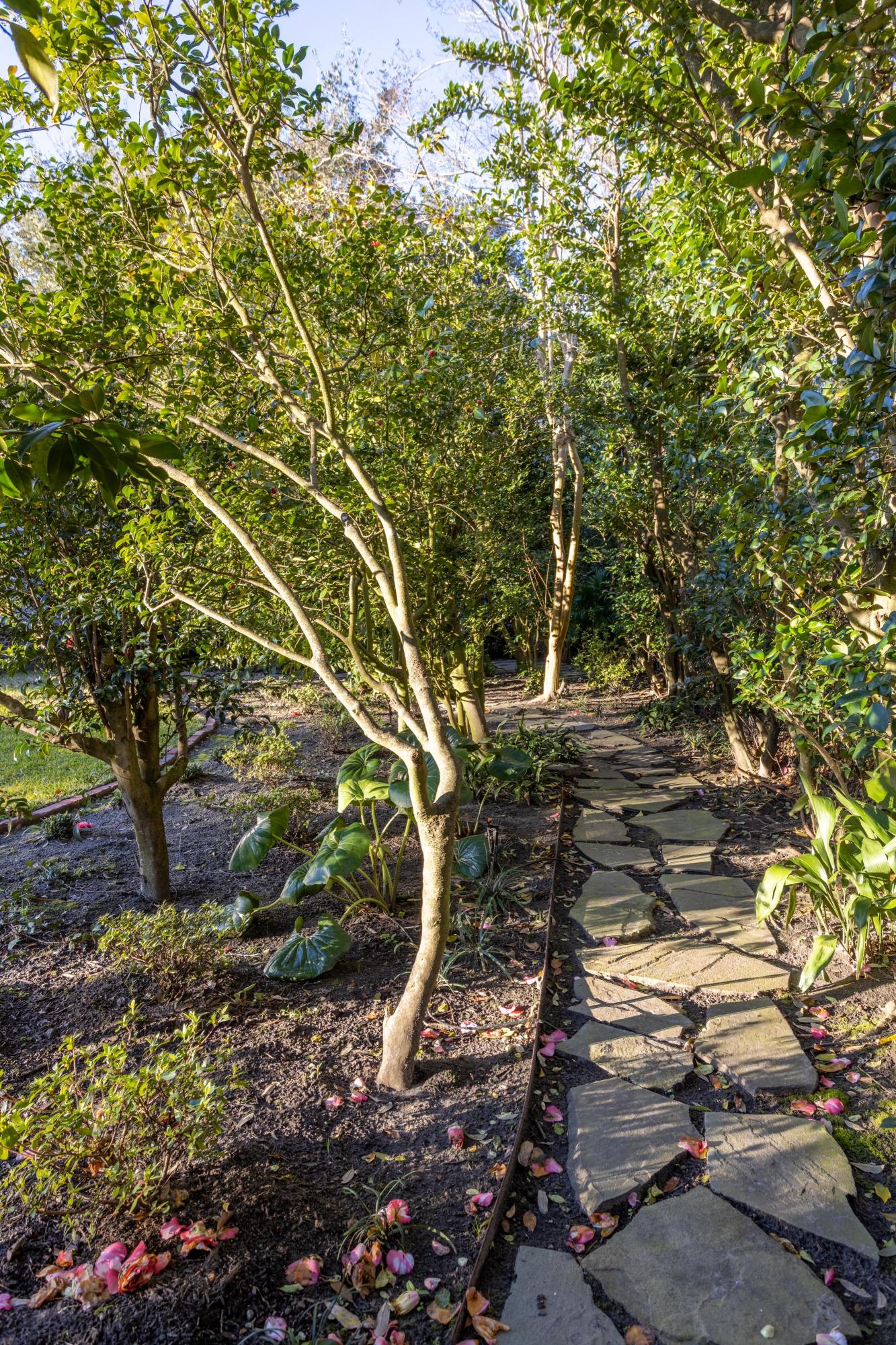 21 Palmetto Road Charleston, SC 29407 - Photo 33 of 41 Landscaped path