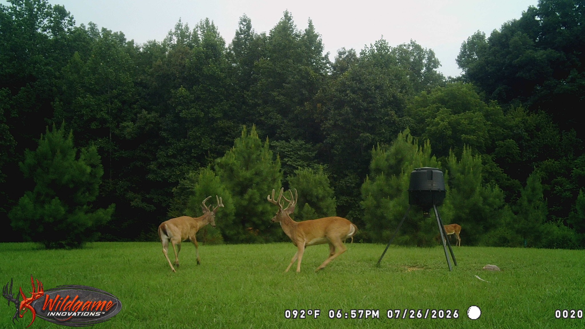 160 Turkey Ridge Road Big Rock, TN 37023 - Photo 80 of 88 Gallery Image 80