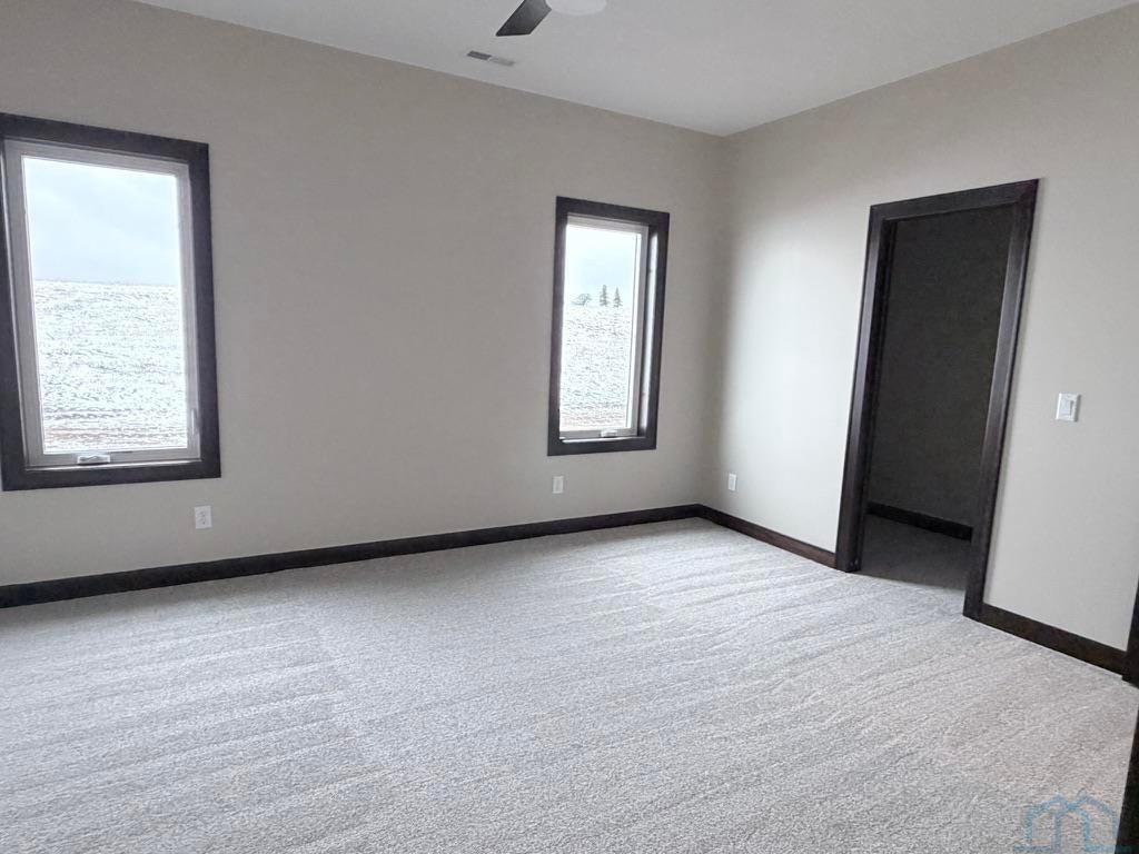 603 Mill Pond Road Rock Rapids, IA 51246 - Photo 8 of 11 Gallery Image 8