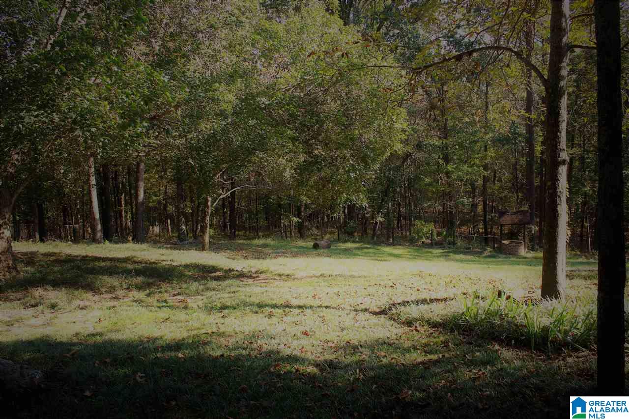 259 Highgate Hill Pelham, AL 35124 - Photo 20 of 23