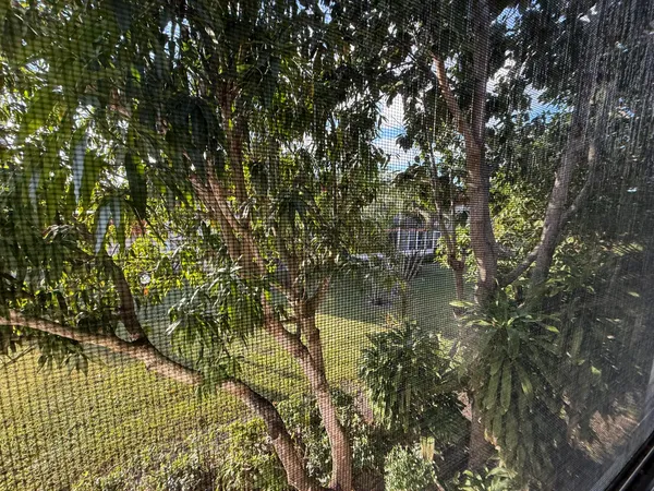 $1,200 | 12009 Poinciana Boulevard, Unit 204, Royal Palm Beach, FL 33411