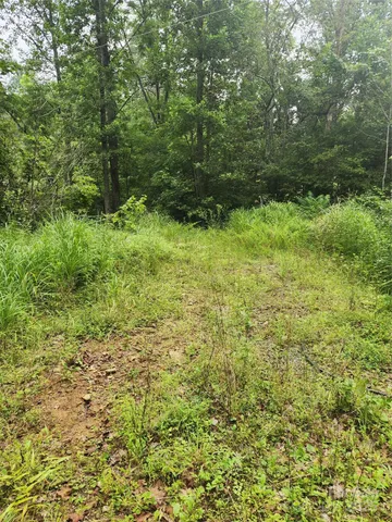a view of outdoor space and green space
