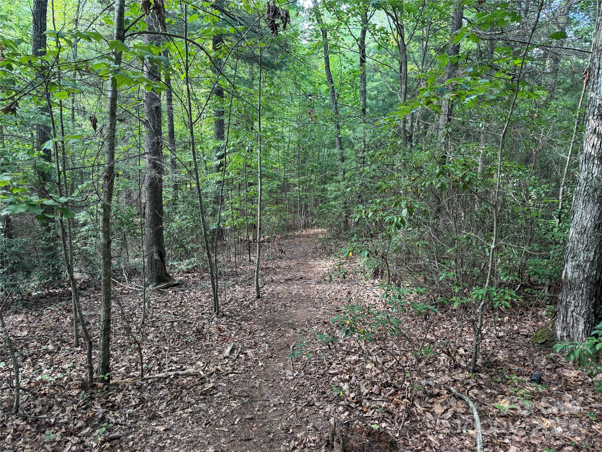 0 Rich Mountain Road Morganton, NC 28655 - Photo 12 of 33