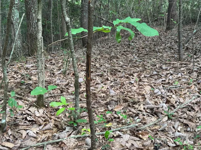 $279,900 | 0 Rich Mountain Road, Morganton, NC 28655