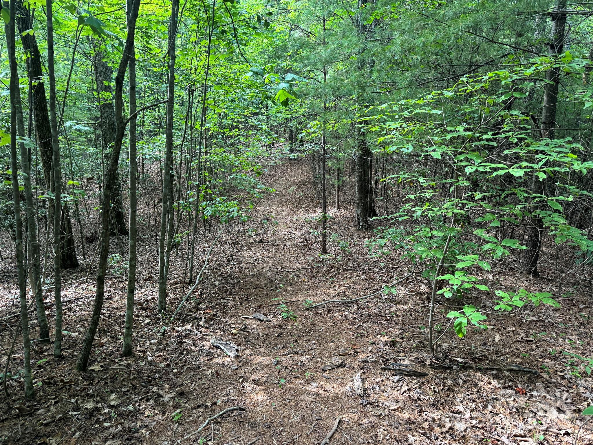 0 Rich Mountain Road Morganton, NC 28655 - Photo 14 of 33