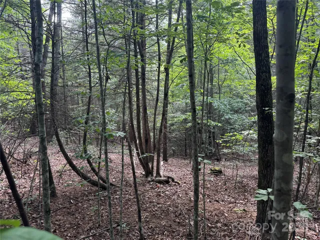 $279,900 | 0 Rich Mountain Road, Morganton, NC 28655