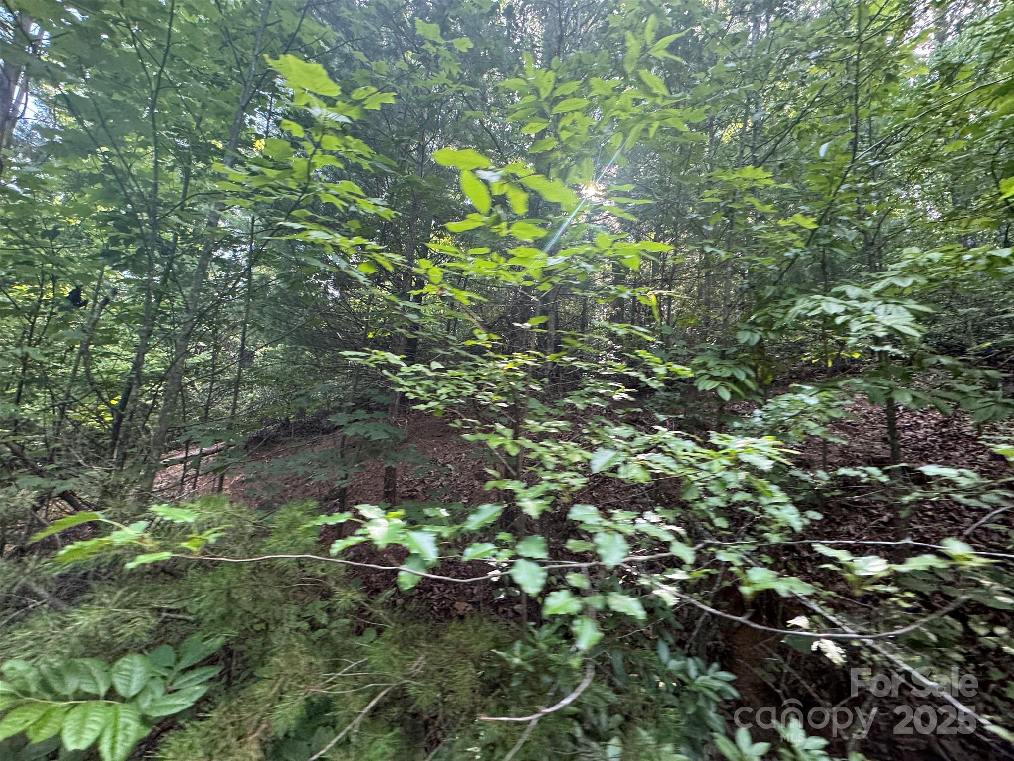 0 Rich Mountain Road Morganton, NC 28655 - Photo 17 of 33