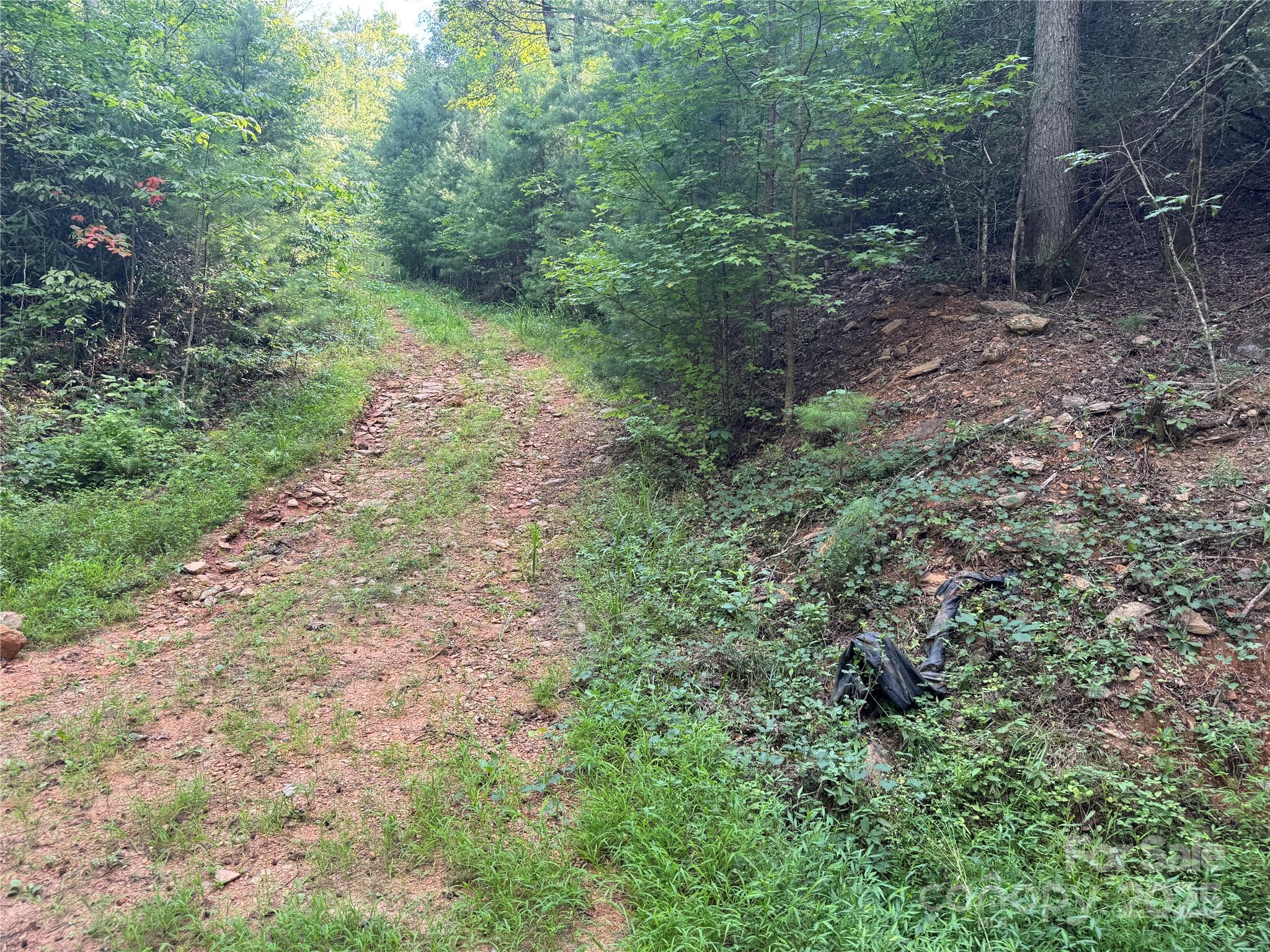 0 Rich Mountain Road Morganton, NC 28655 - Photo 19 of 33