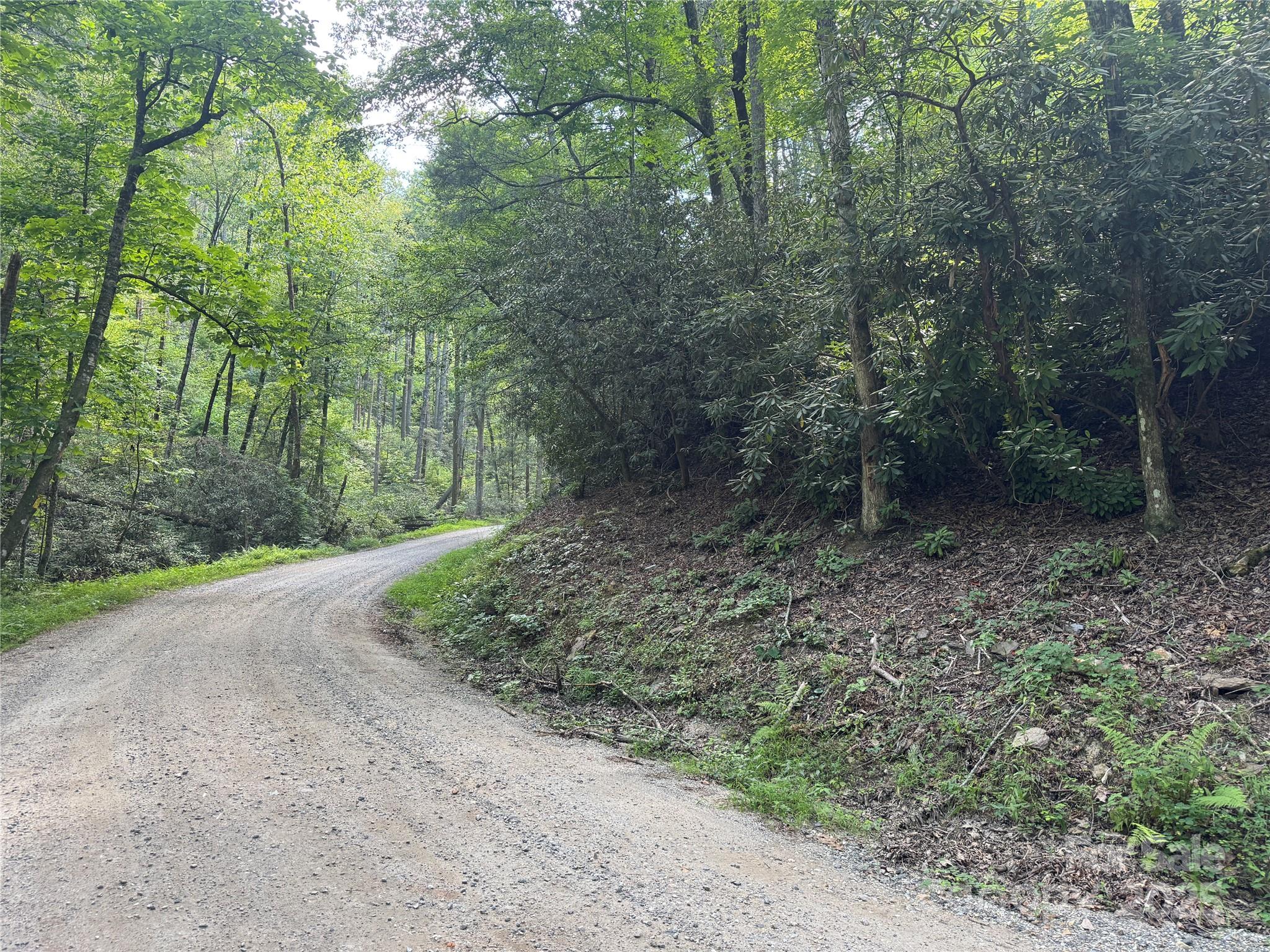 0 Rich Mountain Road Morganton, NC 28655 - Photo 2 of 33