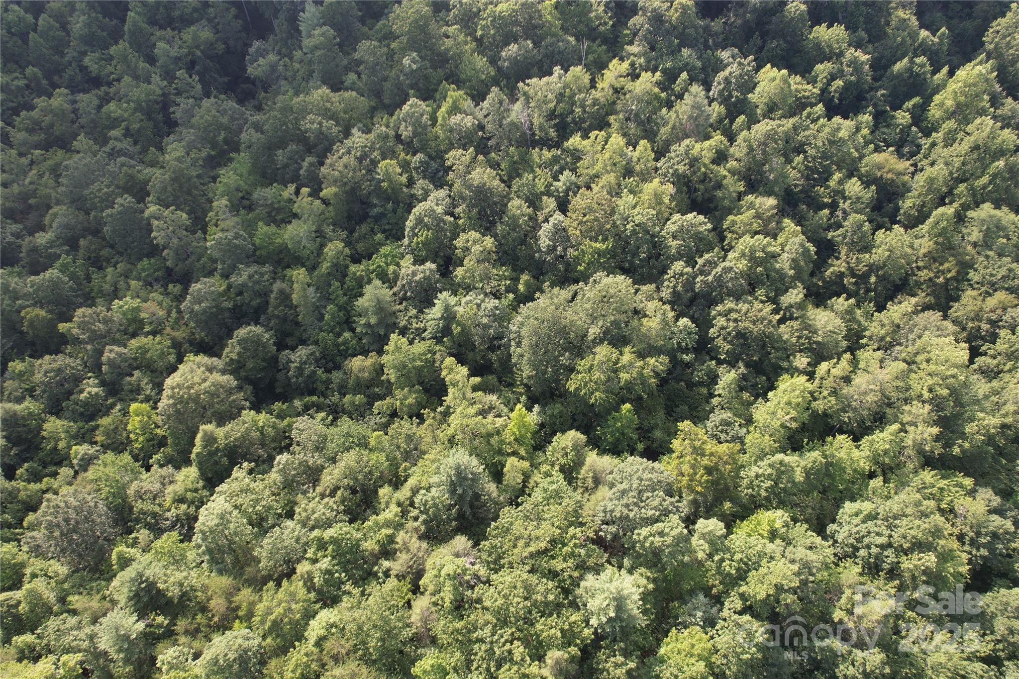 0 Rich Mountain Road Morganton, NC 28655 - Photo 21 of 33