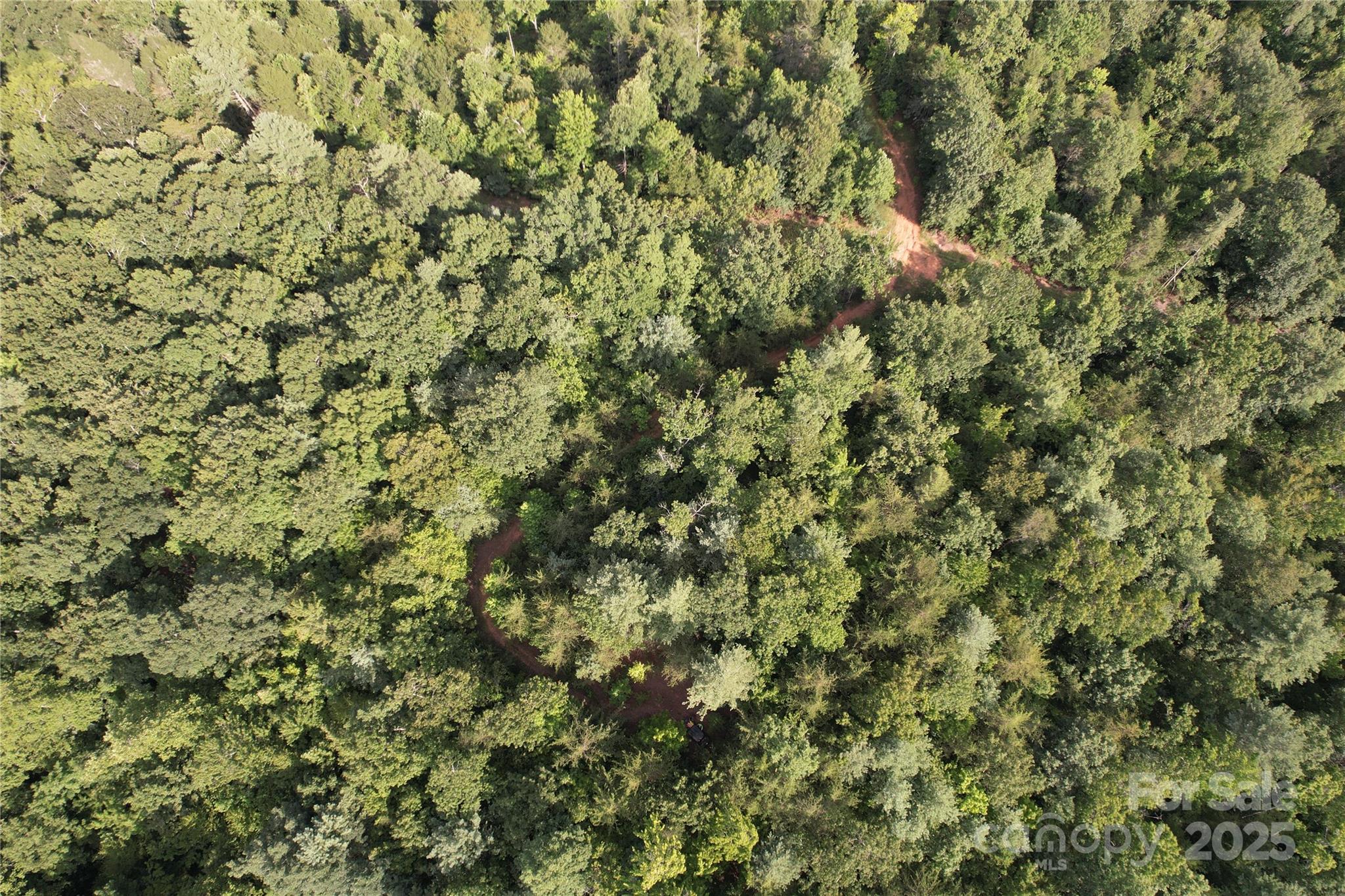 0 Rich Mountain Road Morganton, NC 28655 - Photo 22 of 33