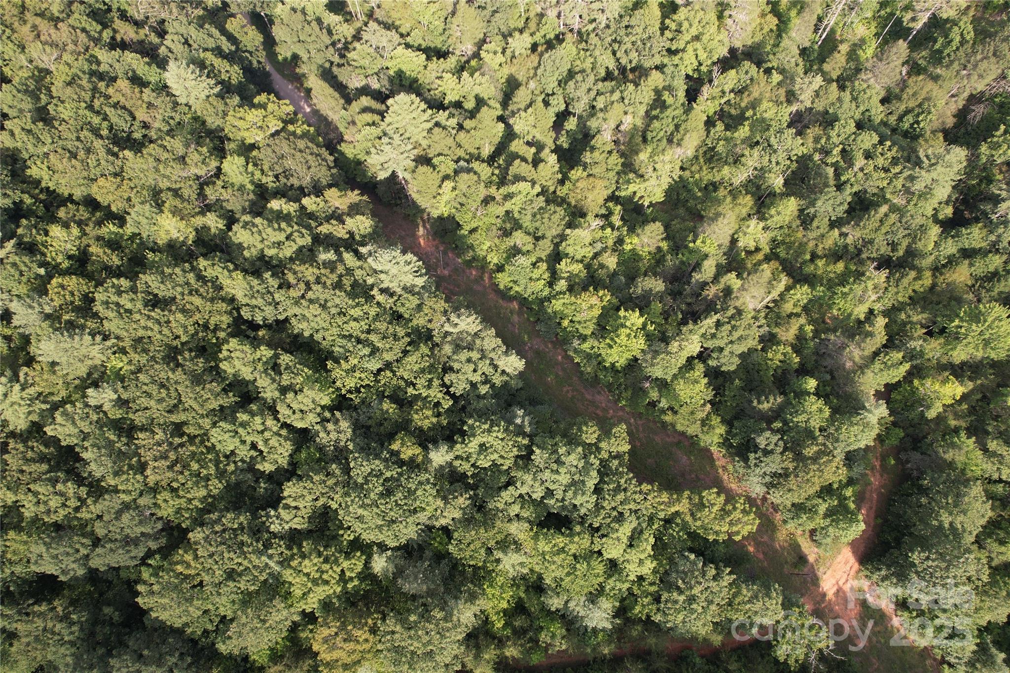 0 Rich Mountain Road Morganton, NC 28655 - Photo 23 of 33