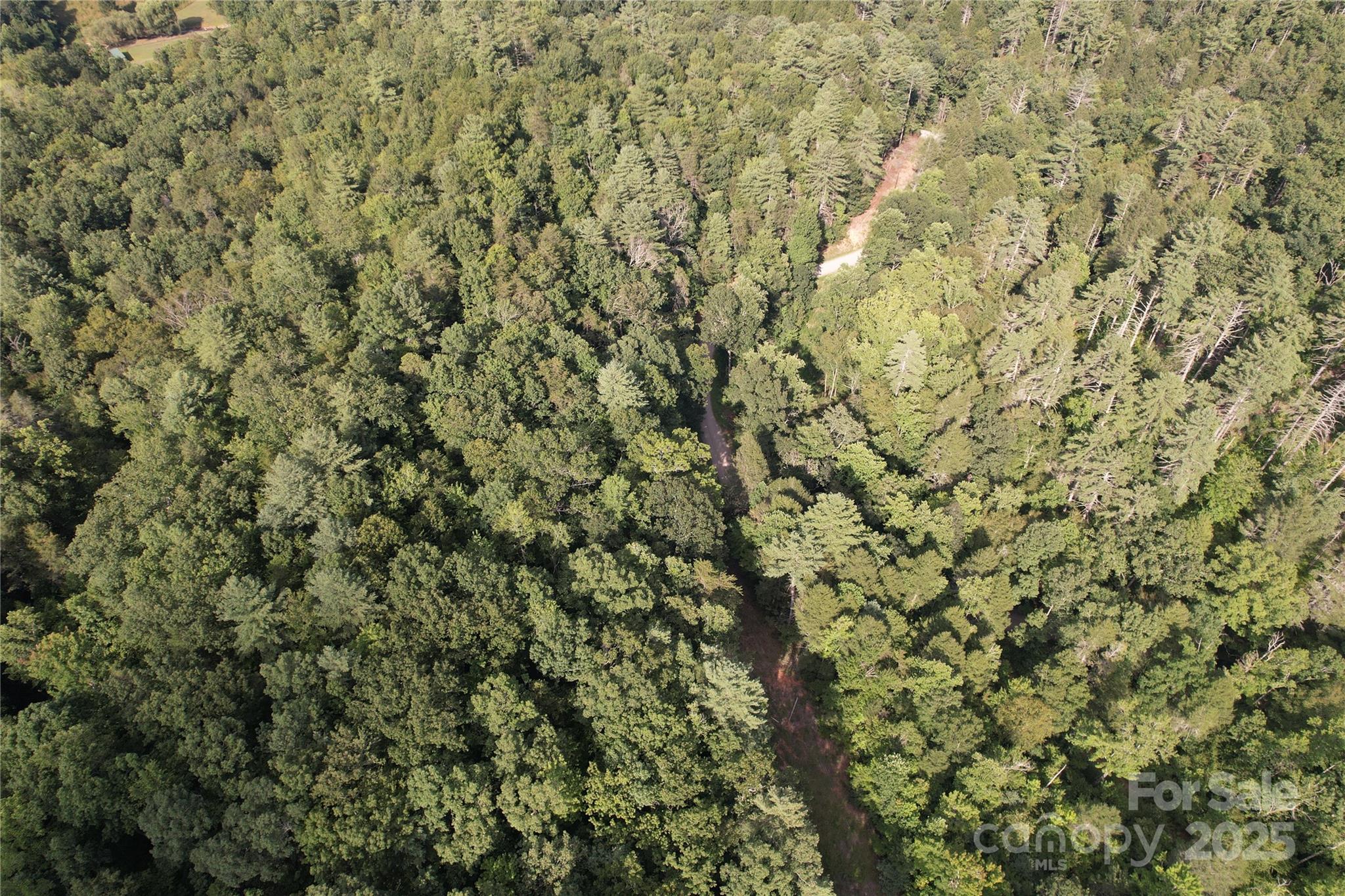 0 Rich Mountain Road Morganton, NC 28655 - Photo 24 of 33