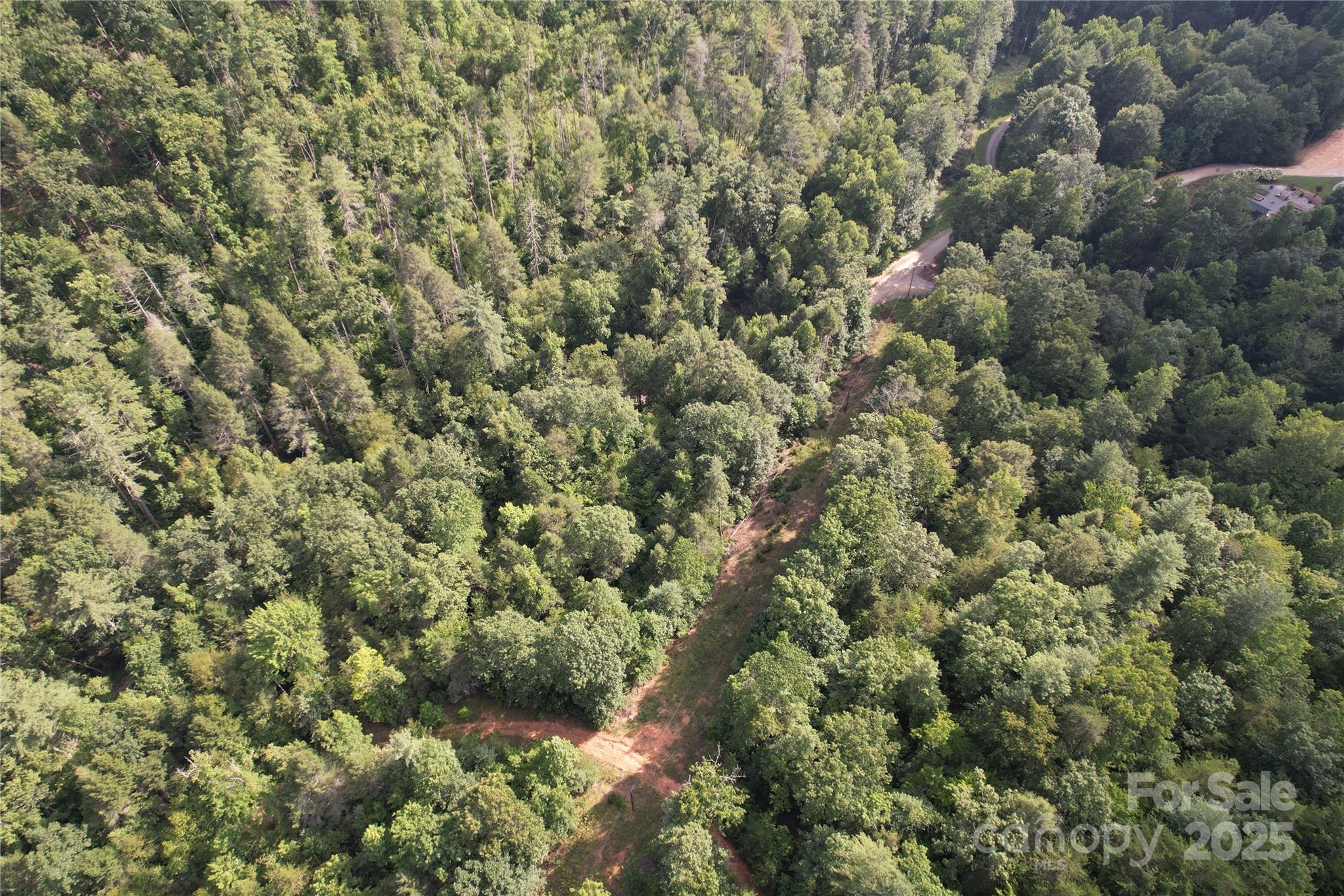 0 Rich Mountain Road Morganton, NC 28655 - Photo 25 of 33