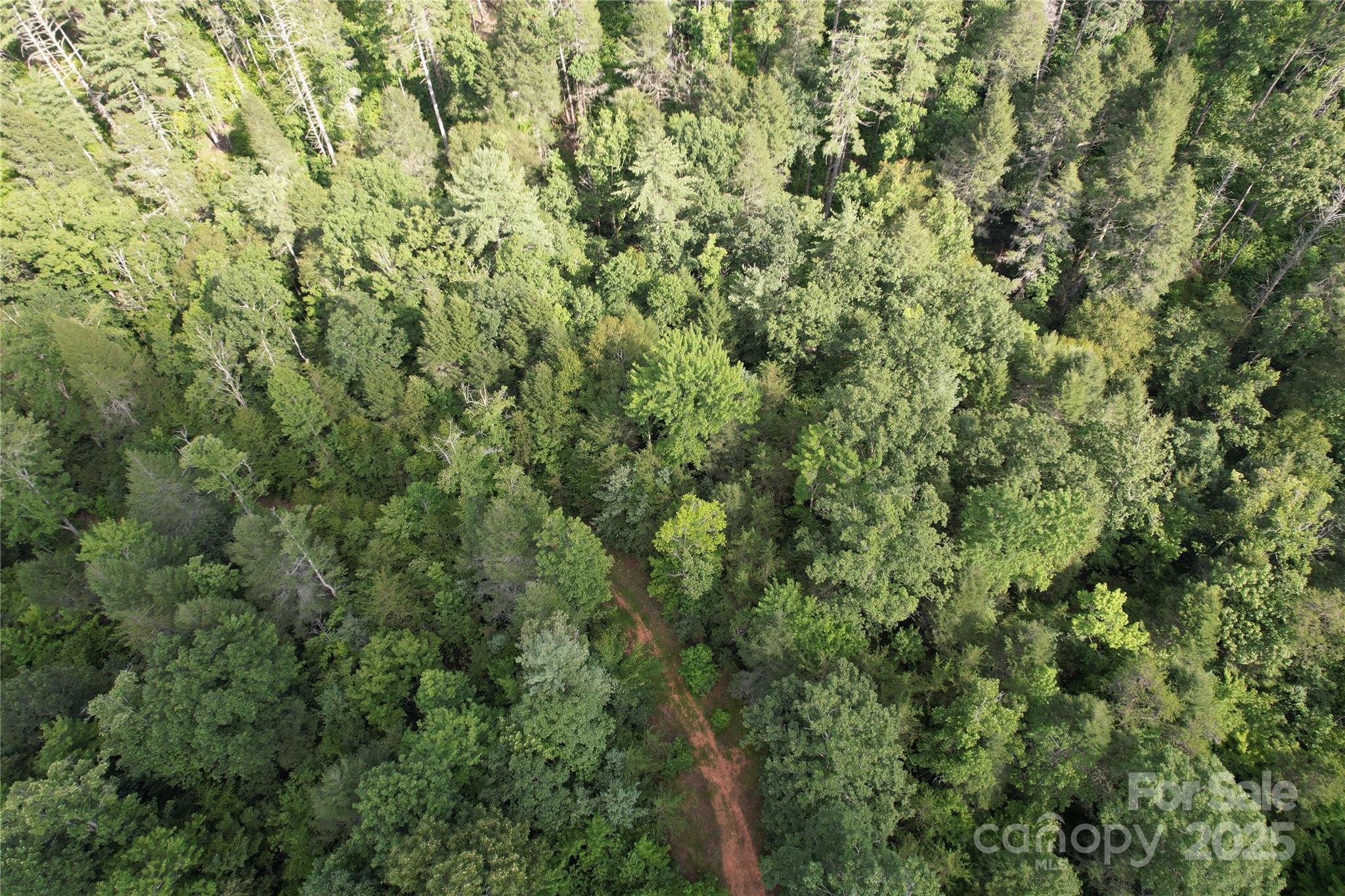 0 Rich Mountain Road Morganton, NC 28655 - Photo 27 of 33