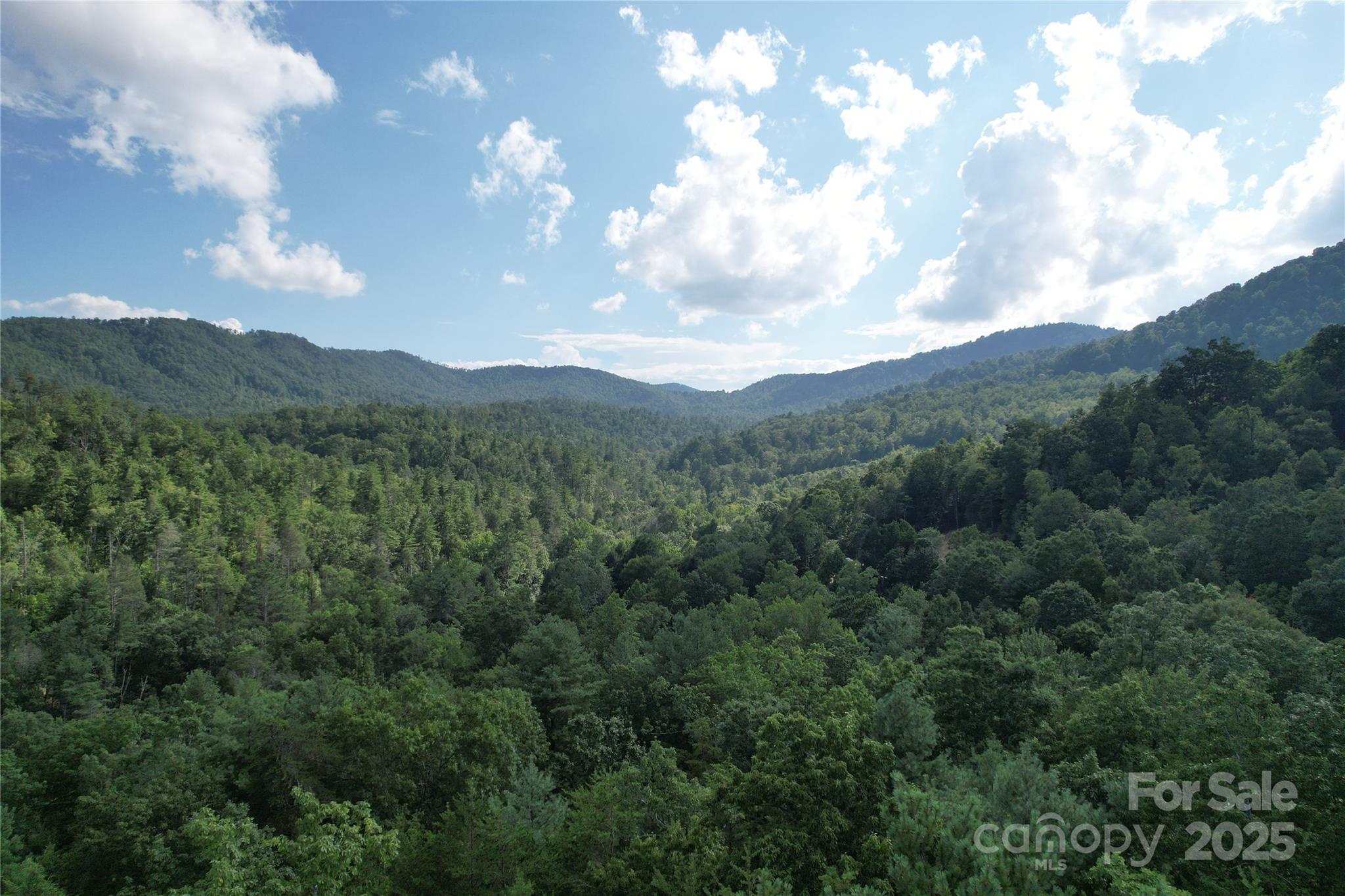 0 Rich Mountain Road Morganton, NC 28655 - Photo 28 of 33