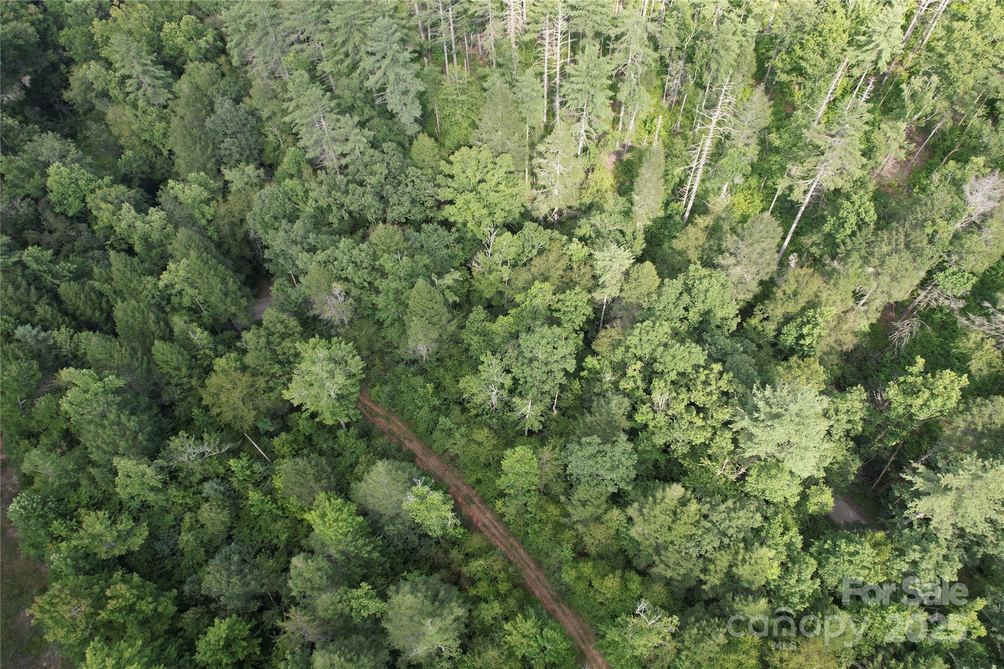 0 Rich Mountain Road Morganton, NC 28655 - Photo 29 of 33