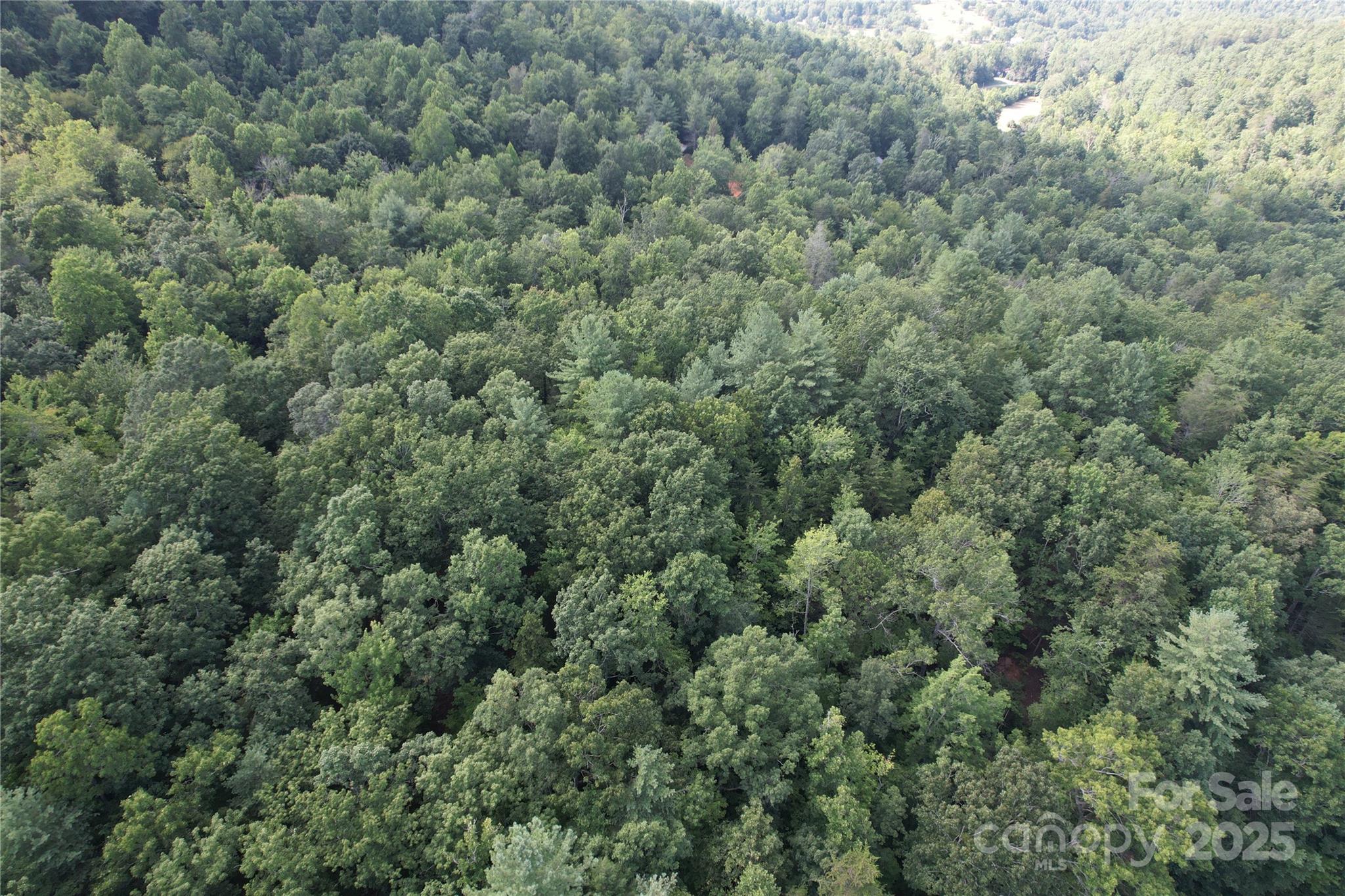 0 Rich Mountain Road Morganton, NC 28655 - Photo 32 of 33