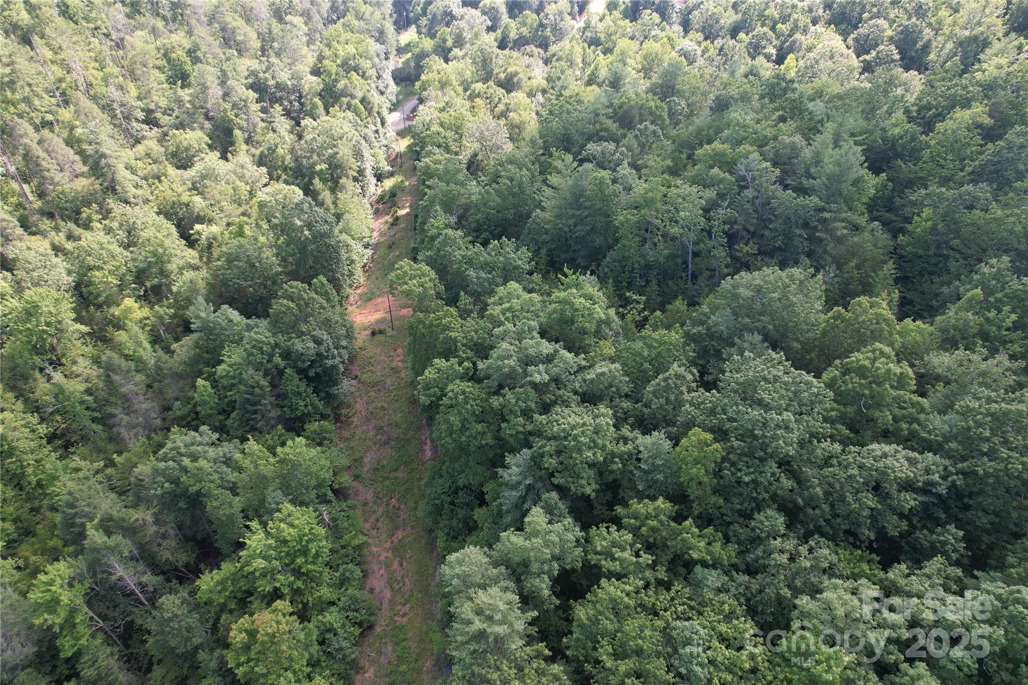 0 Rich Mountain Road Morganton, NC 28655 - Photo 33 of 33