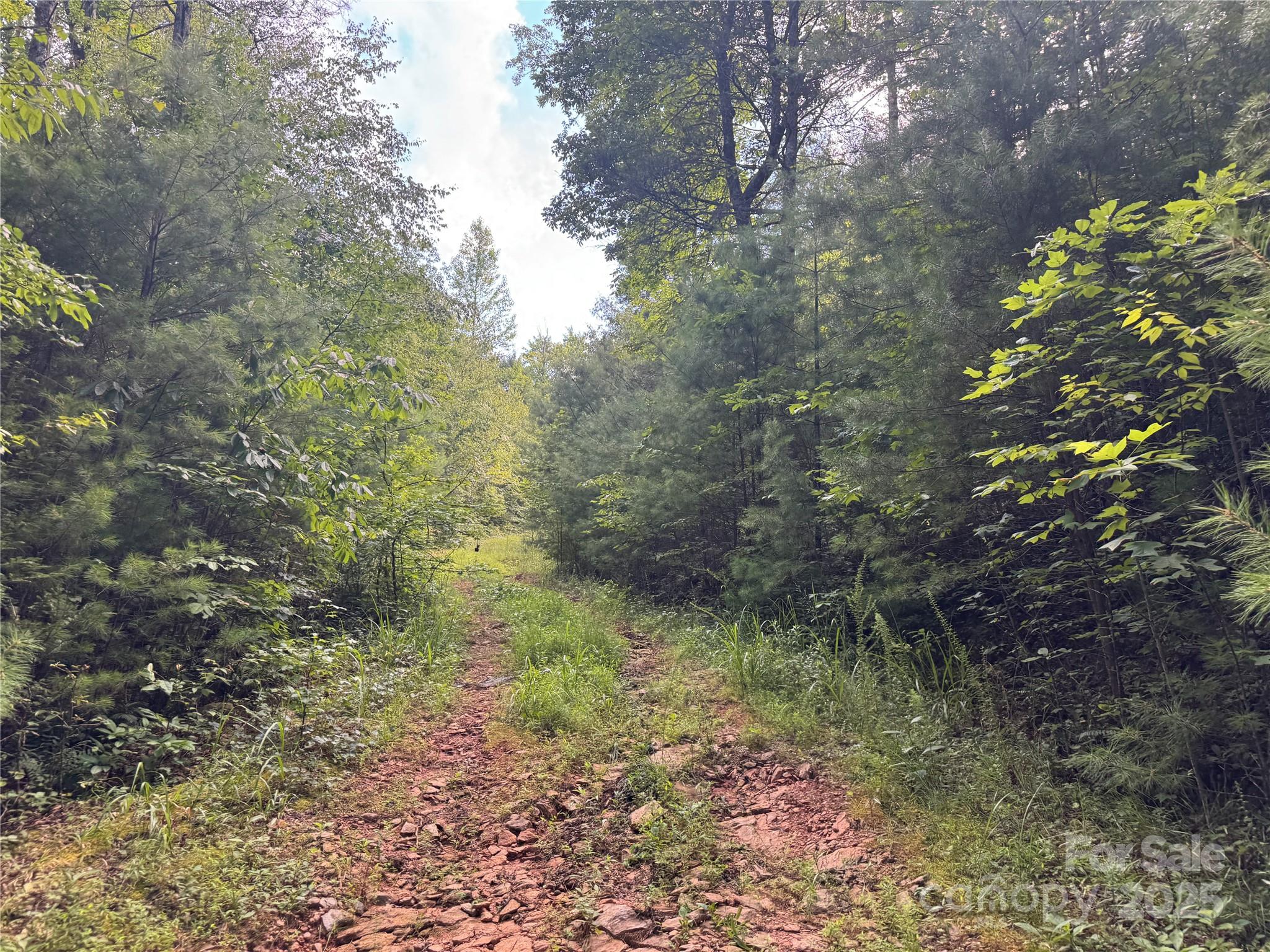 0 Rich Mountain Road Morganton, NC 28655 - Photo 4 of 33