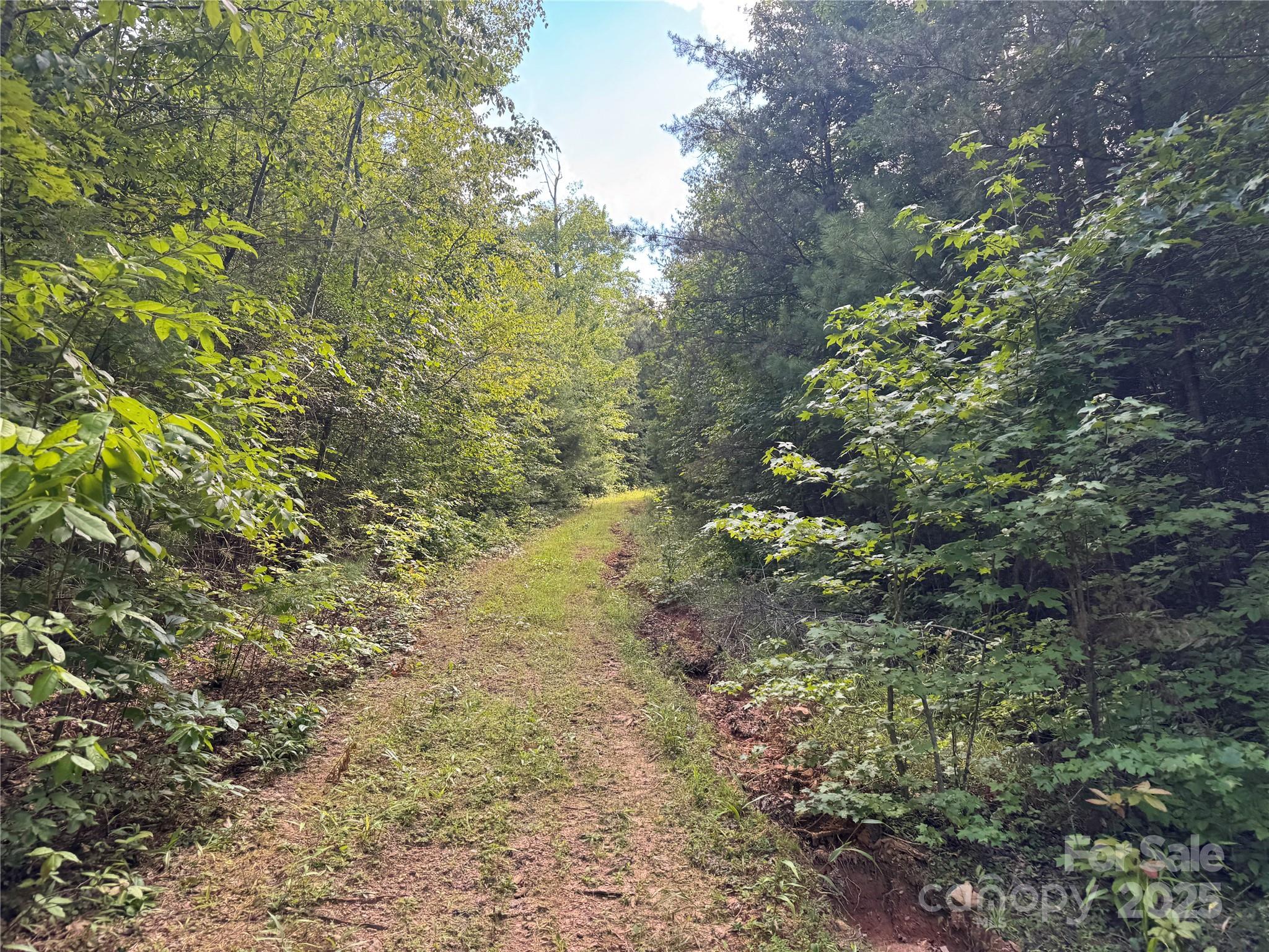 0 Rich Mountain Road Morganton, NC 28655 - Photo 5 of 33