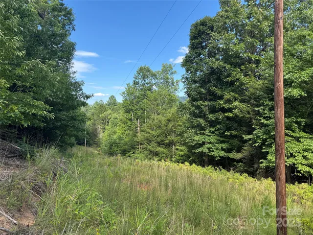 a view of a lake from a yard