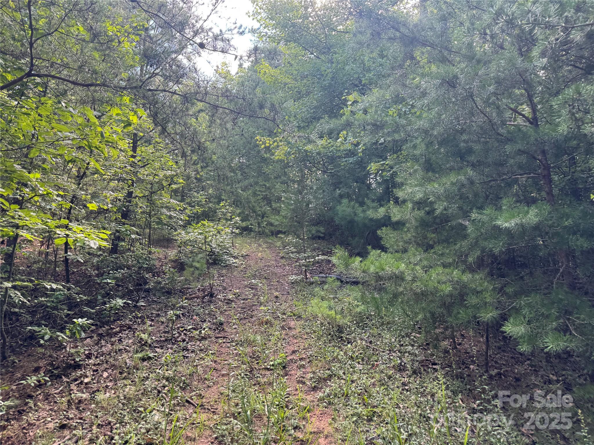 0 Rich Mountain Road Morganton, NC 28655 - Photo 10 of 33