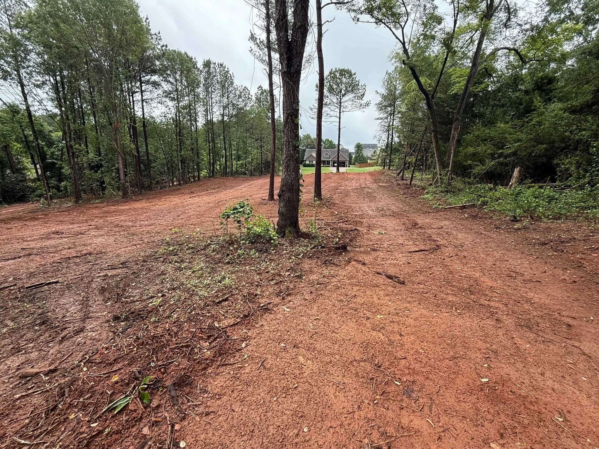 0 Ridgeville Church Road Inman, SC 29349 - Photo 13 of 14