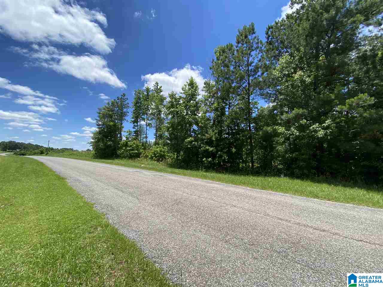 25 County Road, Unit 7 59 Woodland, AL 36280 - Photo 3 of 6