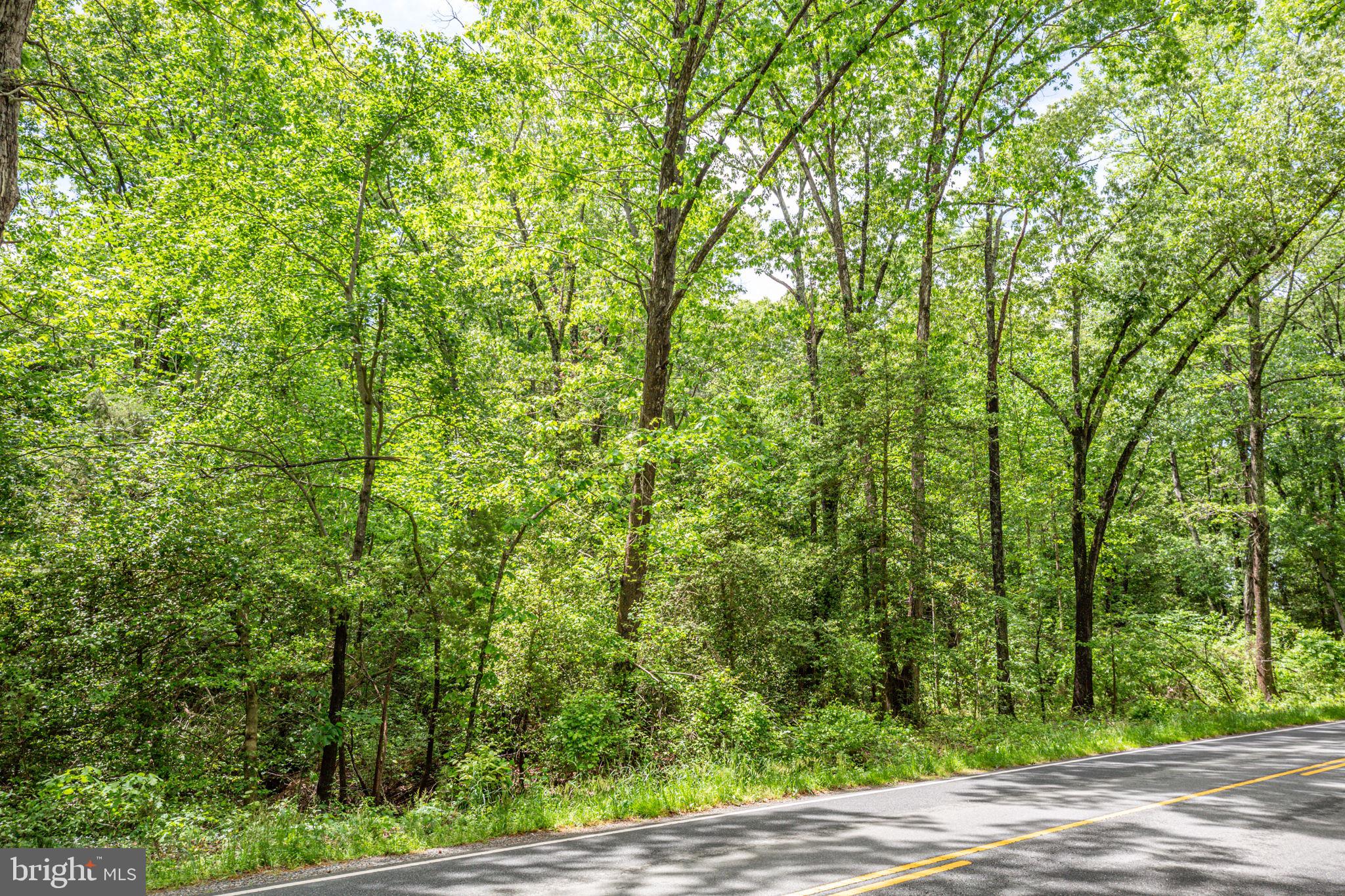 0 Port Conway Road King George, VA 22485 - Photo 1 of 7 Beautiful wooded 5 acre lot