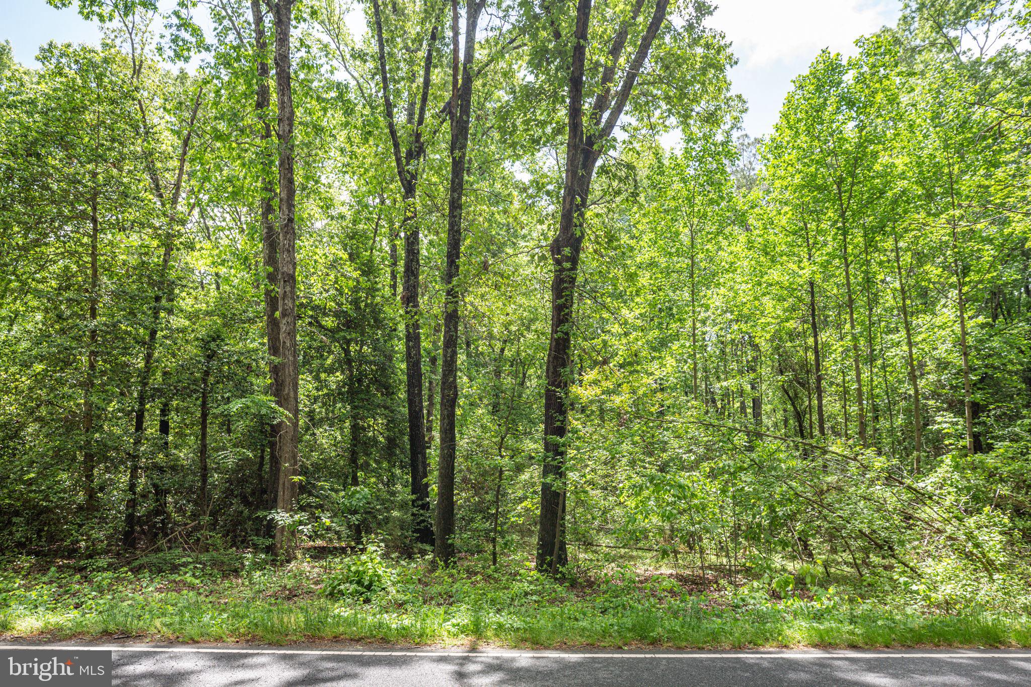 0 Port Conway Road King George, VA 22485 - Photo 2 of 7 Gallery Image 2