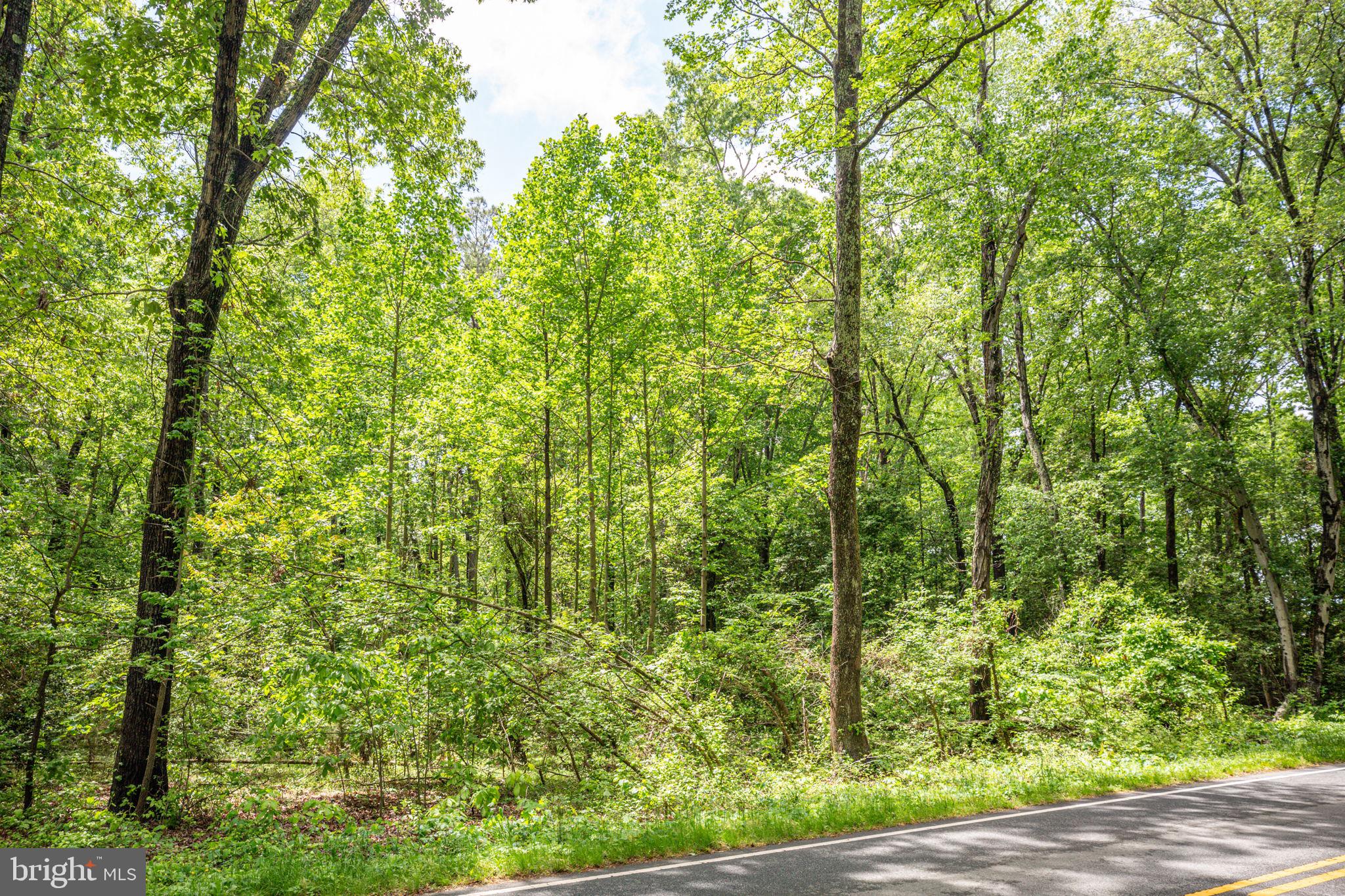 0 Port Conway Road King George, VA 22485 - Photo 3 of 7 Gallery Image 3