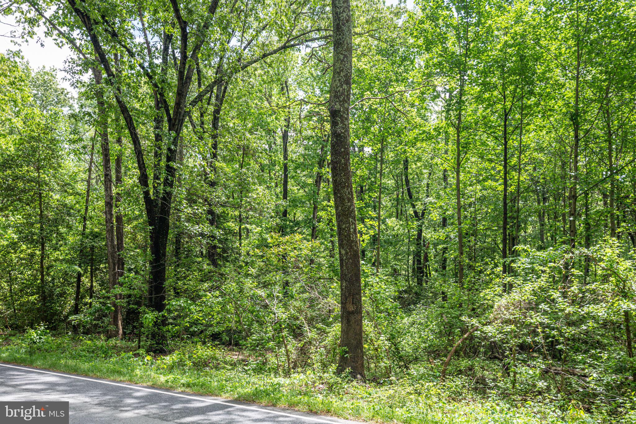 0 Port Conway Road King George, VA 22485 - Photo 4 of 7 Gallery Image 4