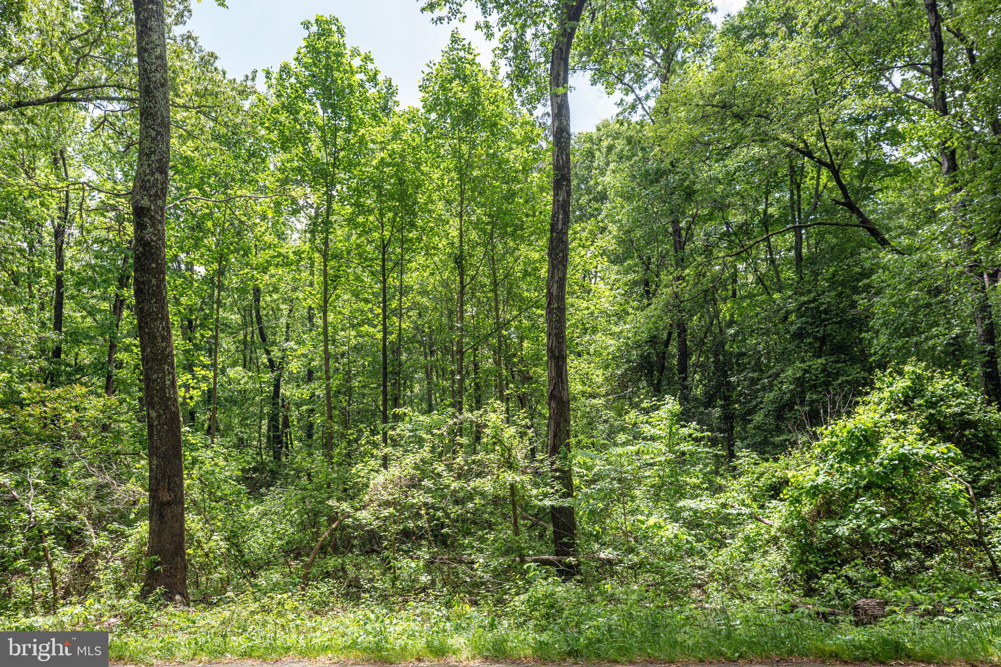 0 Port Conway Road King George, VA 22485 - Photo 5 of 7 Gallery Image 5