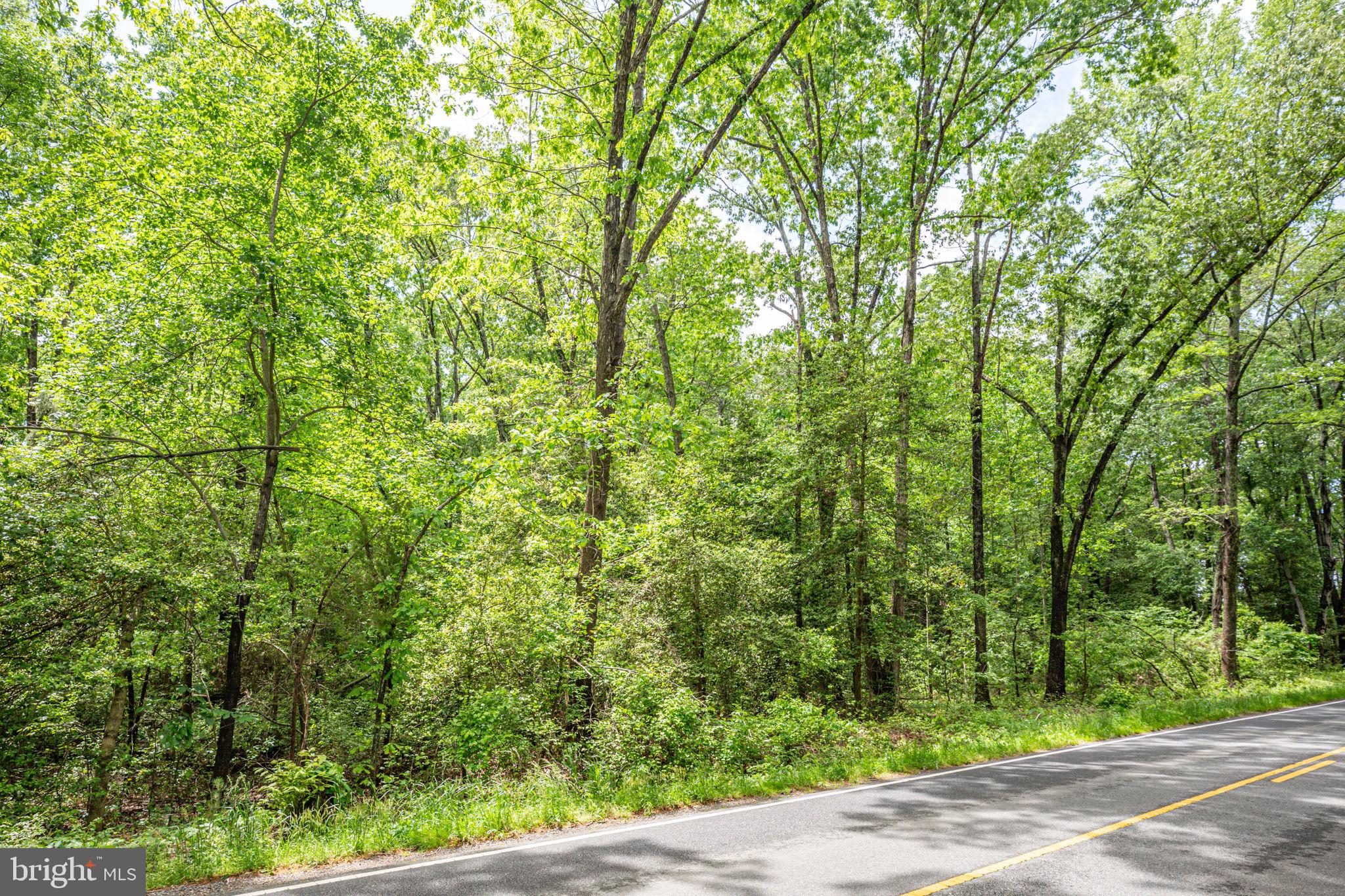 0 Port Conway Road King George, VA 22485 - Photo 6 of 7 Gallery Image 6