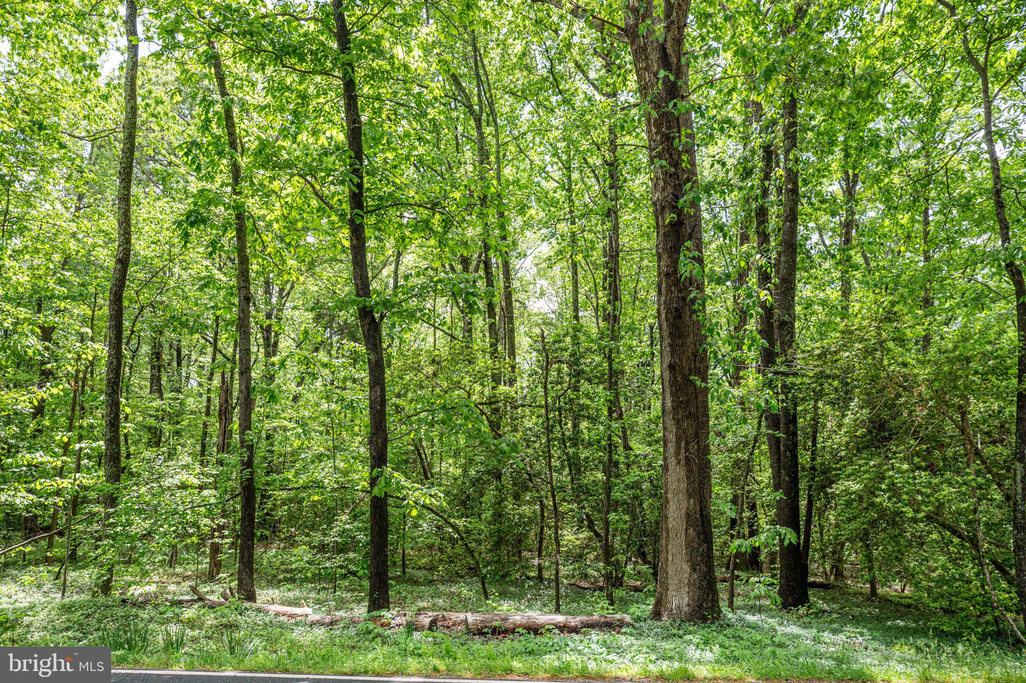 0 Port Conway Road King George, VA 22485 - Photo 7 of 7 Gallery Image 7