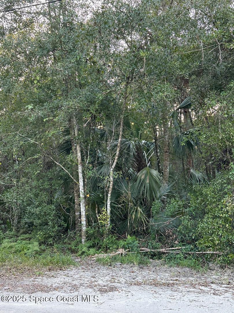 0 Turpentine Road Mims, FL 32754 - Photo 3 of 3 Photo 3