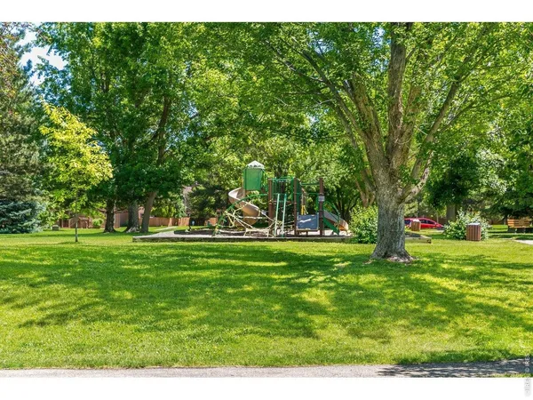 a view of a trees in a yard