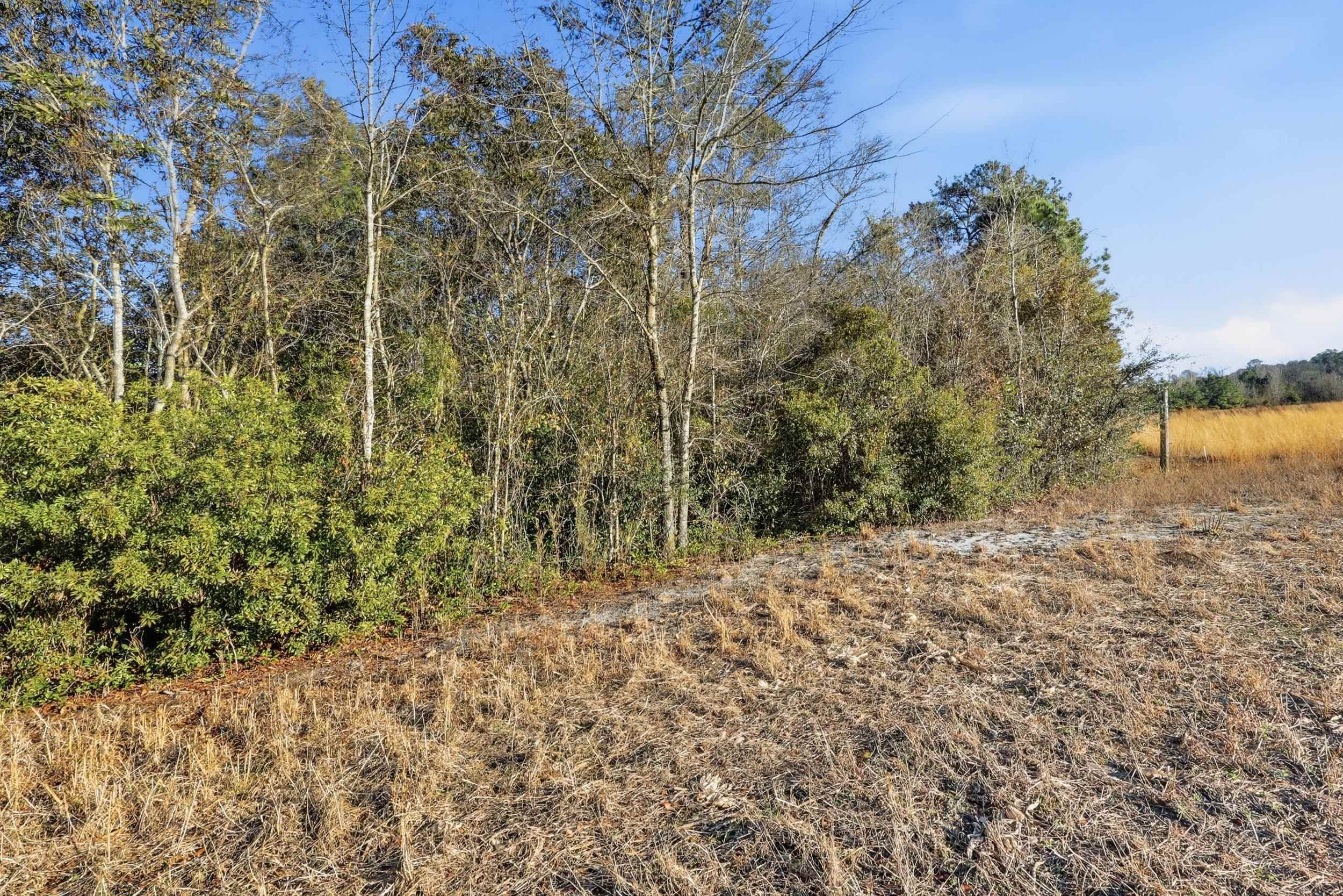Tbd Tbd Black Creek Road Nichols, SC 29581 - Photo 11 of 19