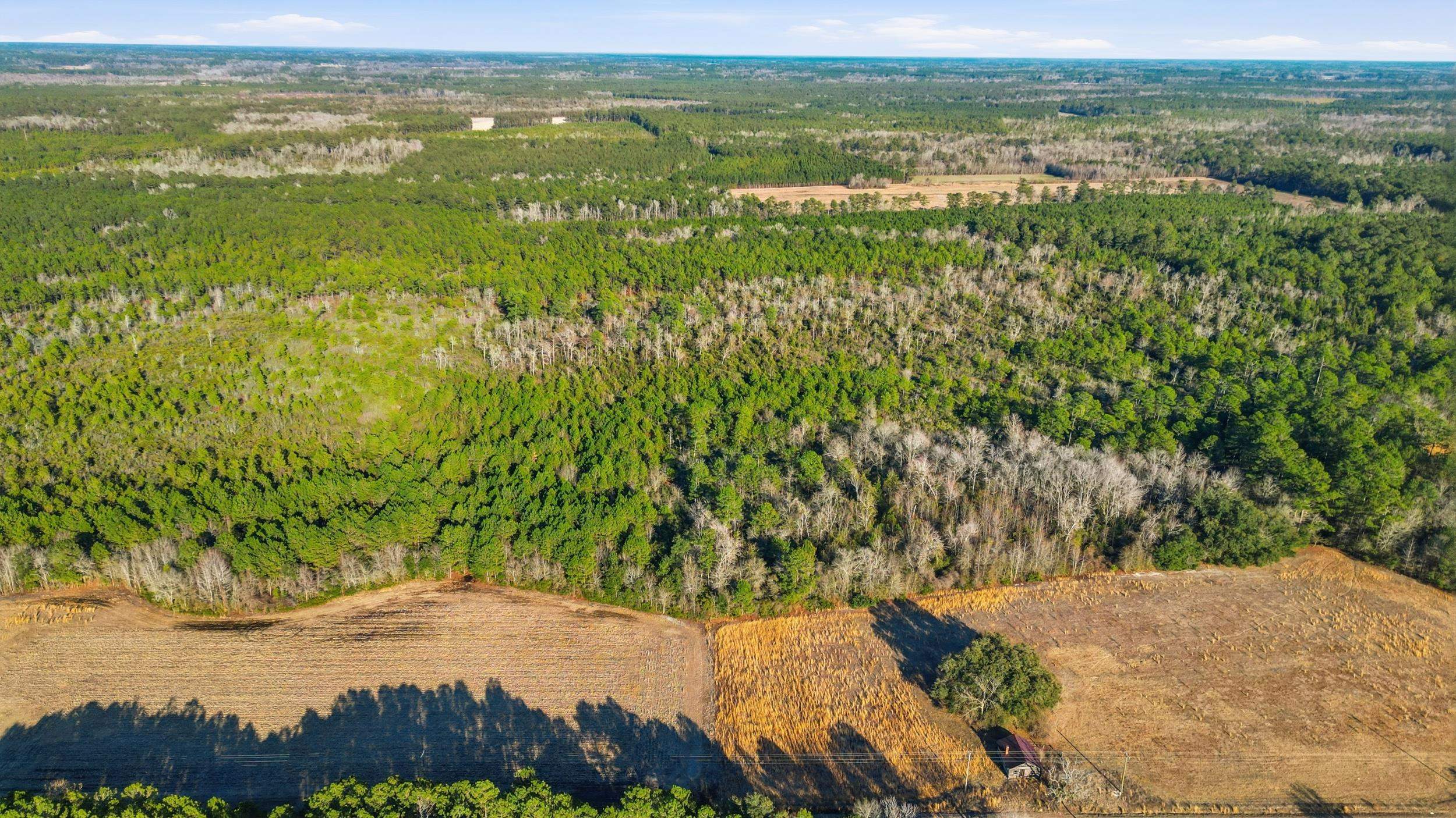 Tbd Tbd Black Creek Road Nichols, SC 29581 - Photo 14 of 19