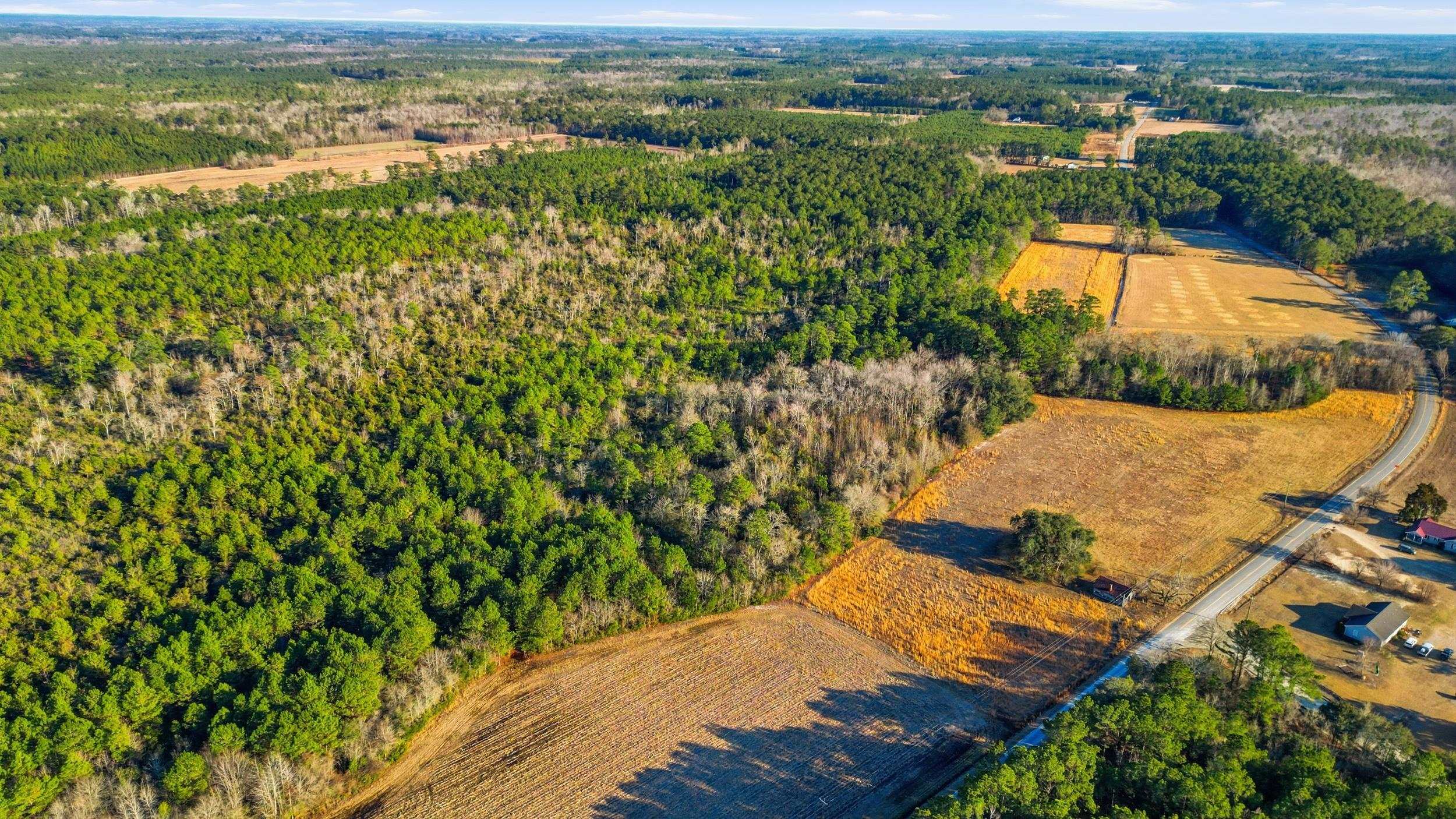 Tbd Tbd Black Creek Road Nichols, SC 29581 - Photo 15 of 19