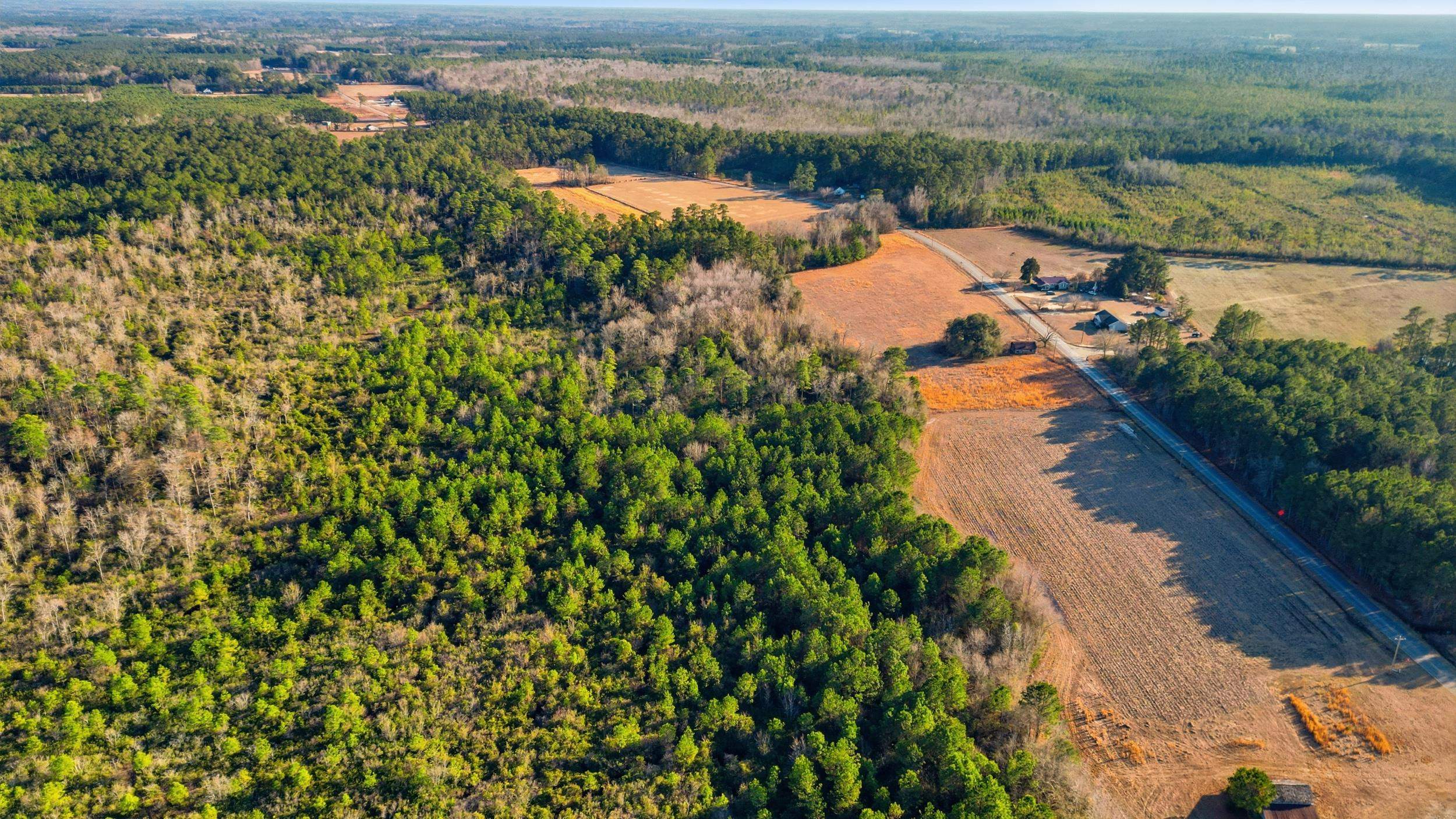 Tbd Tbd Black Creek Road Nichols, SC 29581 - Photo 17 of 19